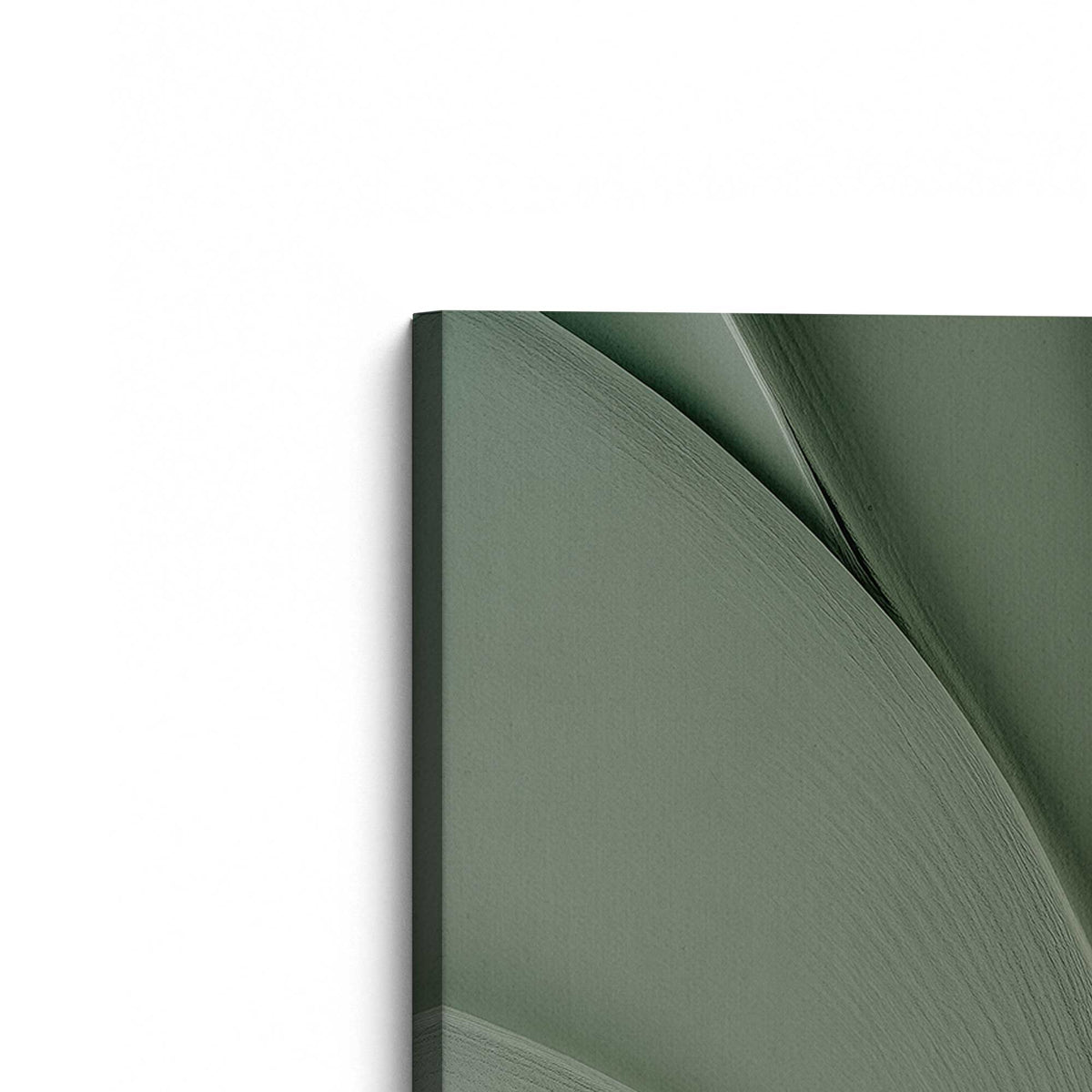 [Color:Stretched Canvas], Picture of the corner of the art