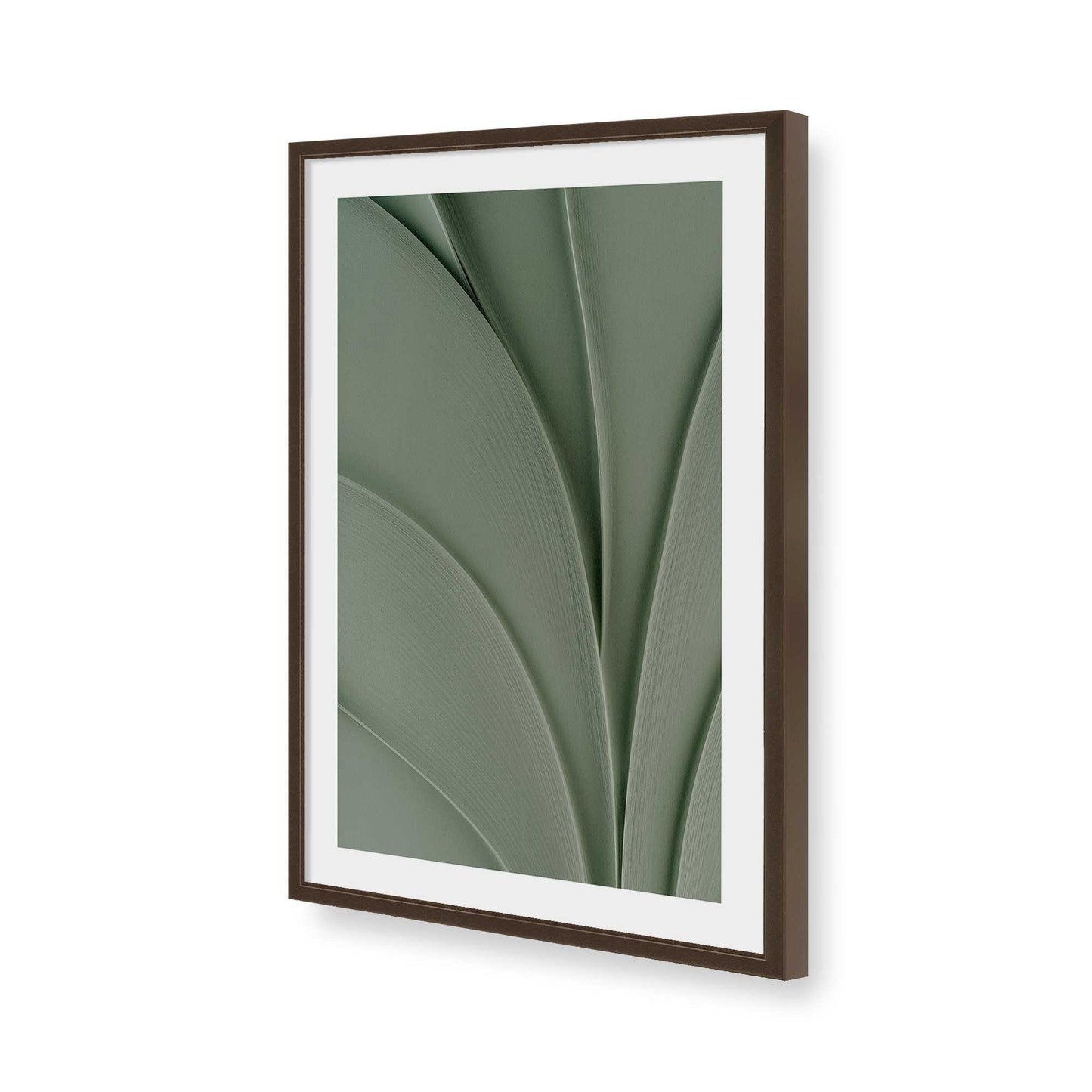 [Color:Belvinder Brown], Picture of art in a Belvinder Brown frame of the corner