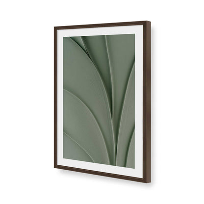 [Color:Belvinder Brown], Picture of art in a Belvinder Brown frame of the corner