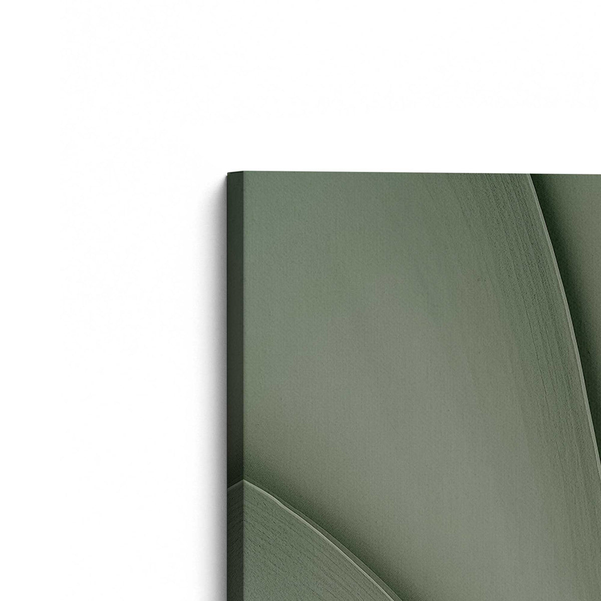 [Color:Stretched Canvas], Picture of the corner of the art