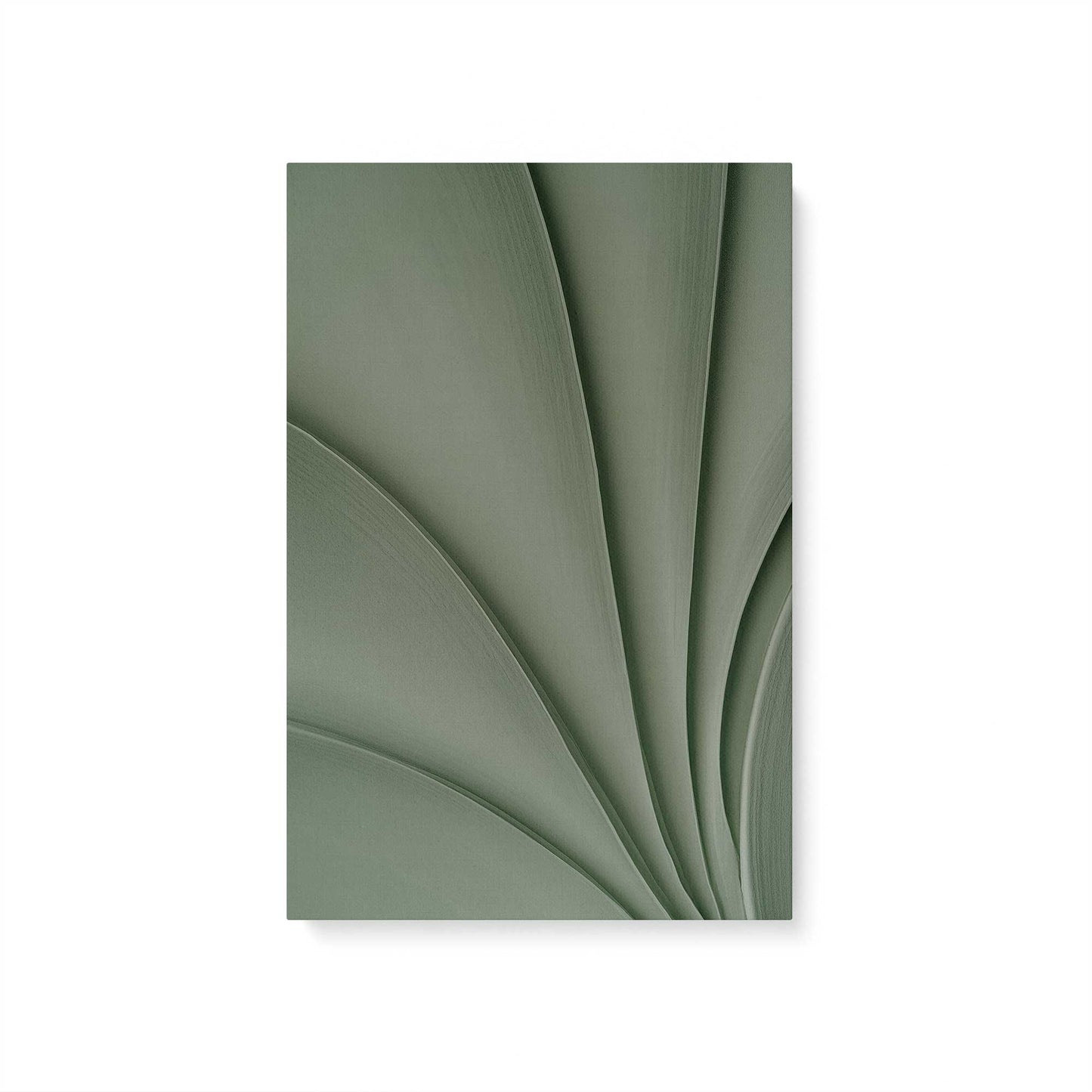 [Color:Stretched Canvas], Picture of art