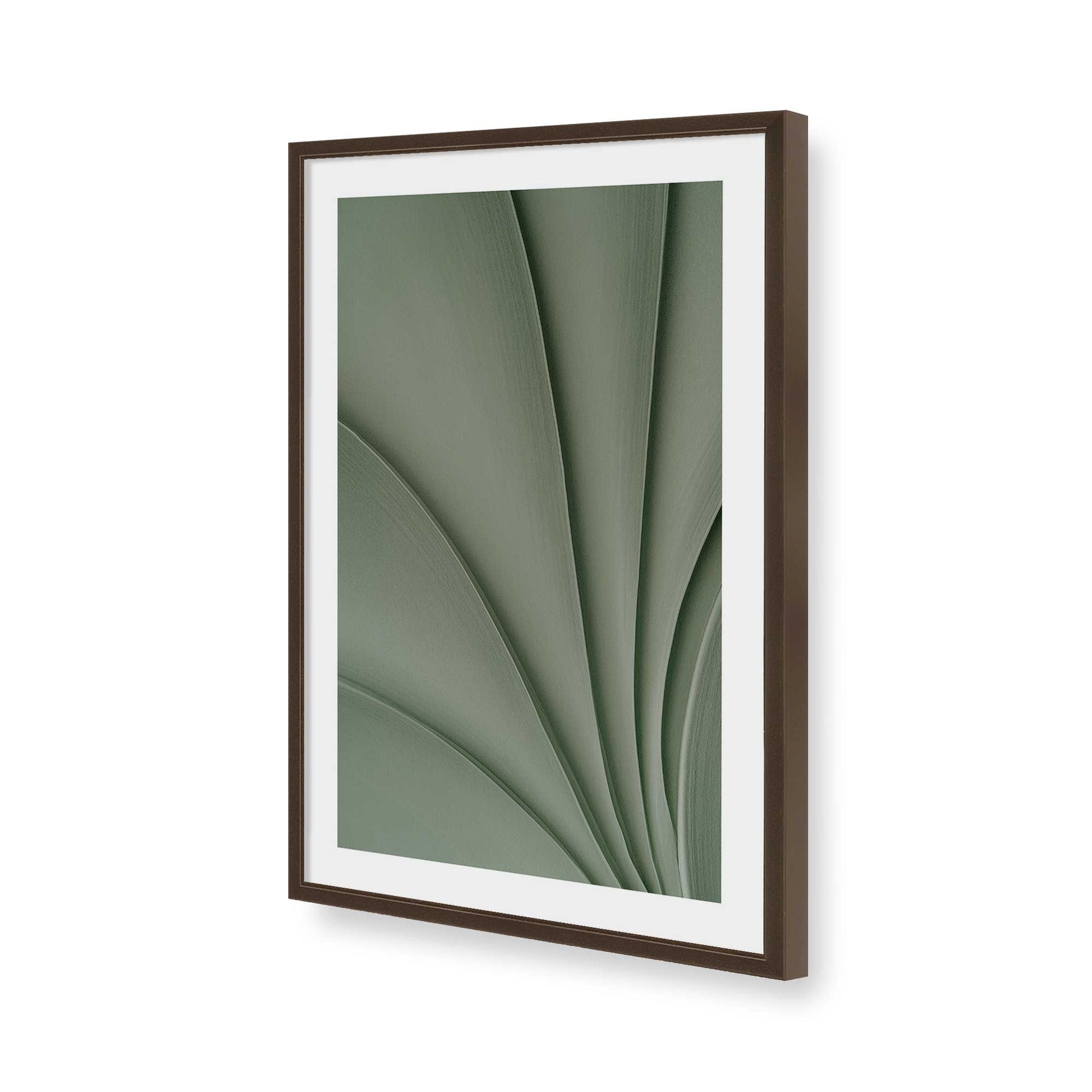 [Color:Belvinder Brown], Picture of art in a Belvinder Brown frame of the corner