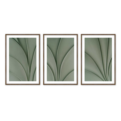 [Color:Walnut], Picture of art in a Walnut frame