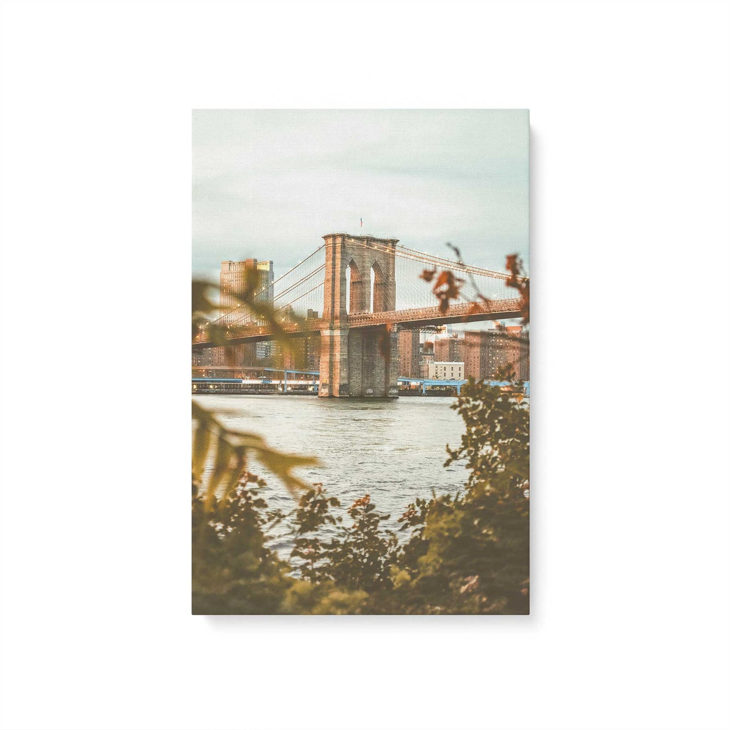 [Color:Stretched Canvas], Picture of art