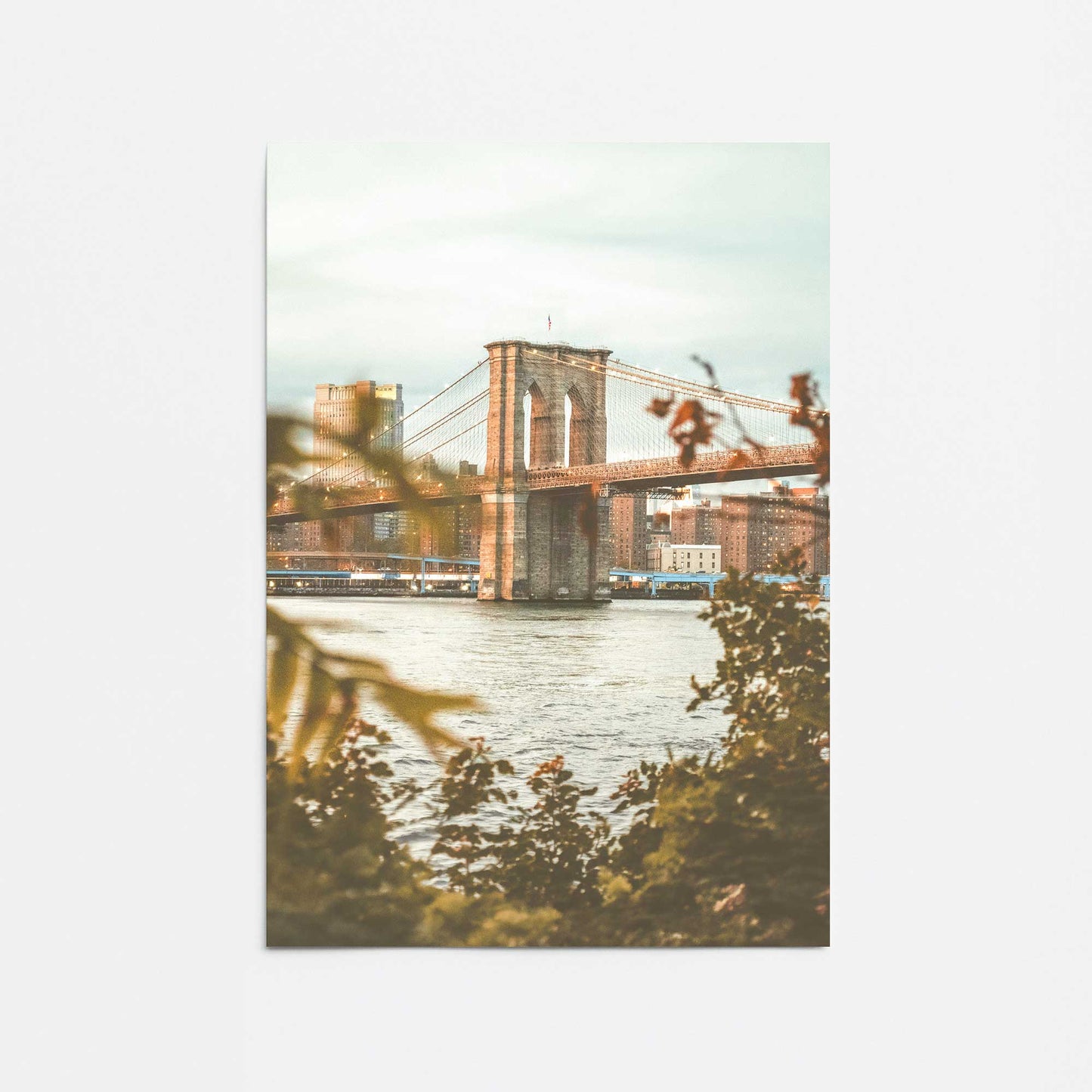 [Color:Rolled Print], Picture of close up of art