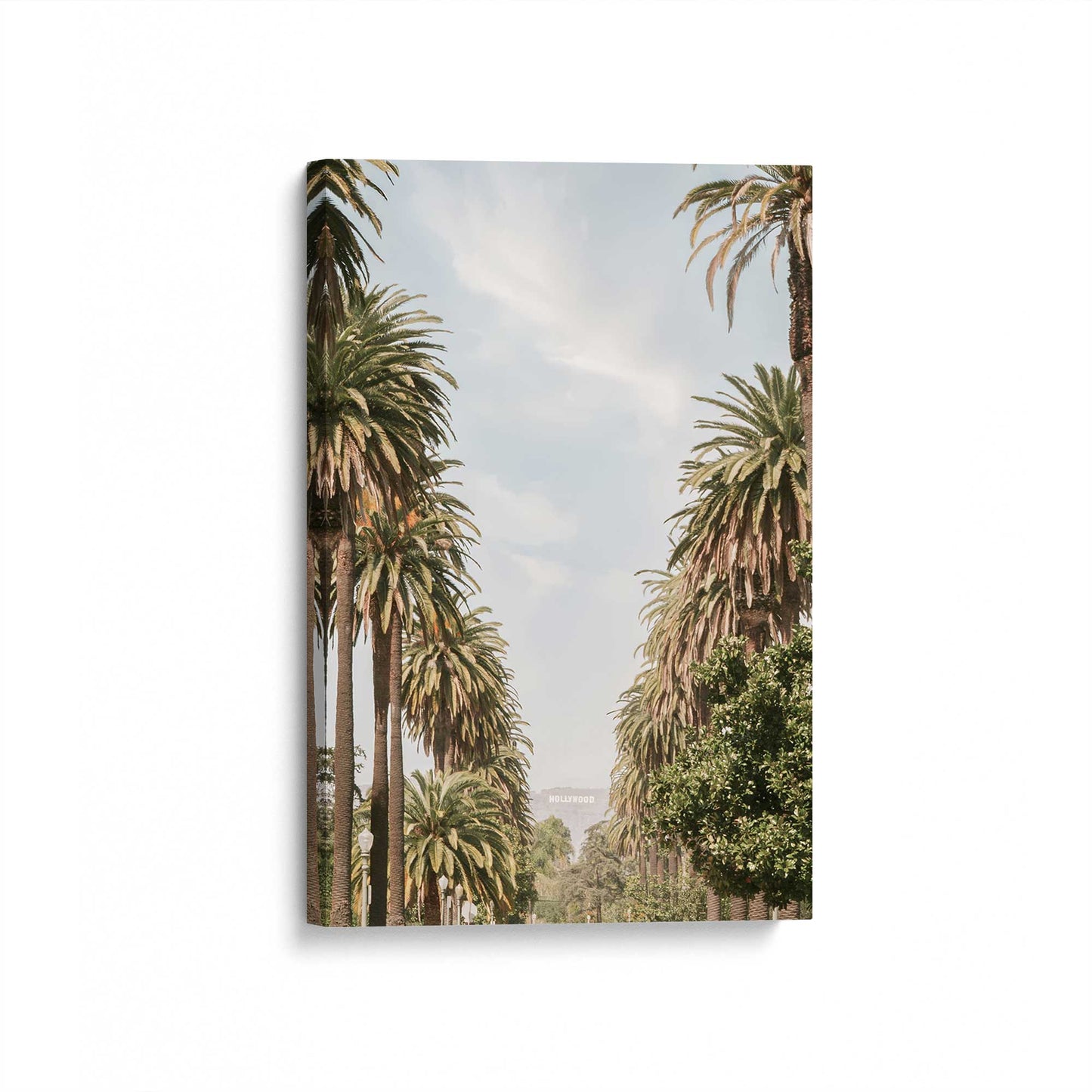 [Color:Stretched Canvas], Picture of art at an angle
