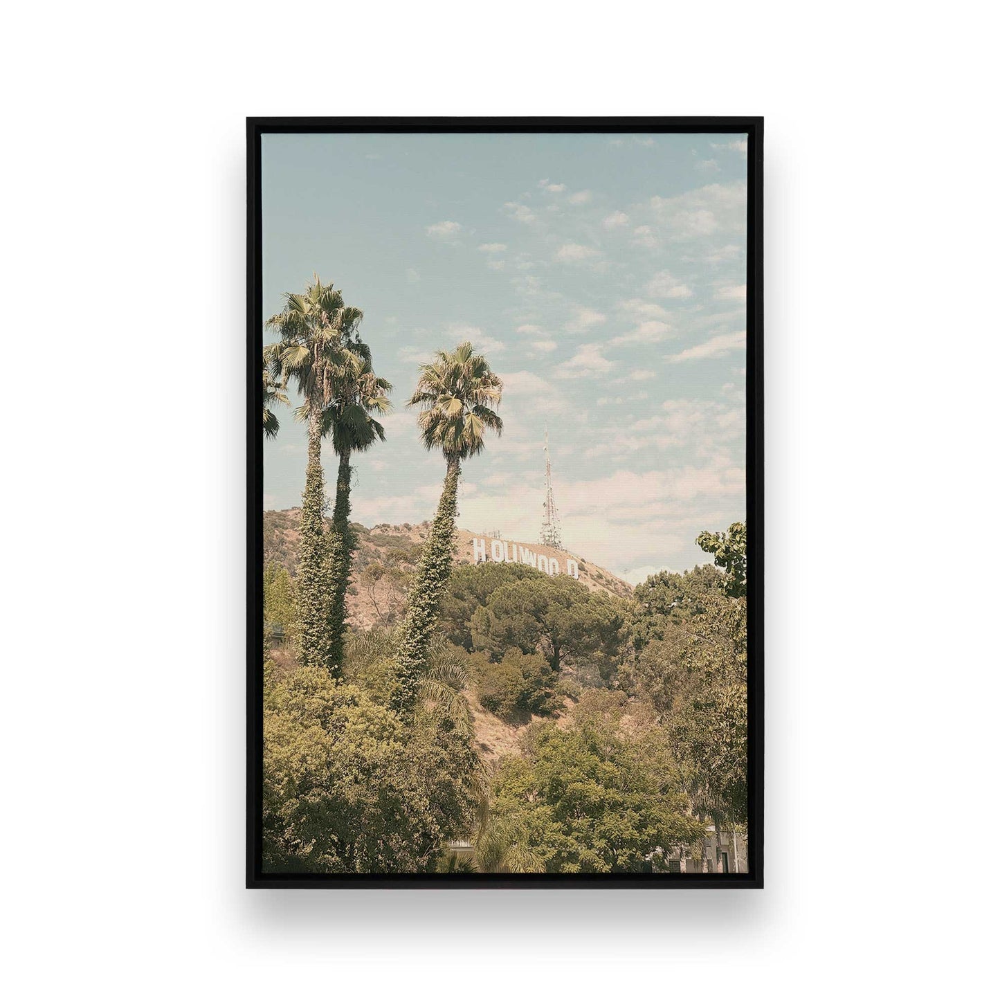 [Color:Satin Black], Picture of art in a Satin Black frame