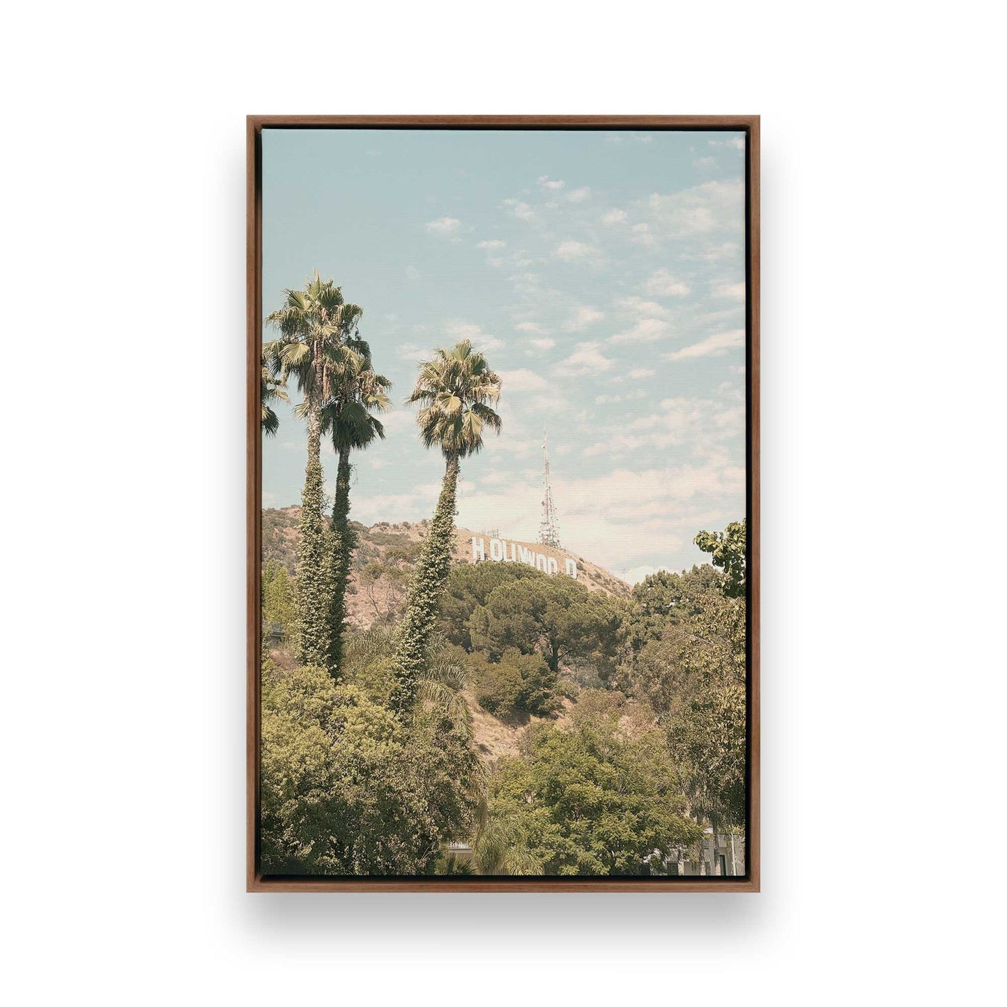 [Color:Walnut], Picture of art in a Walnut frame