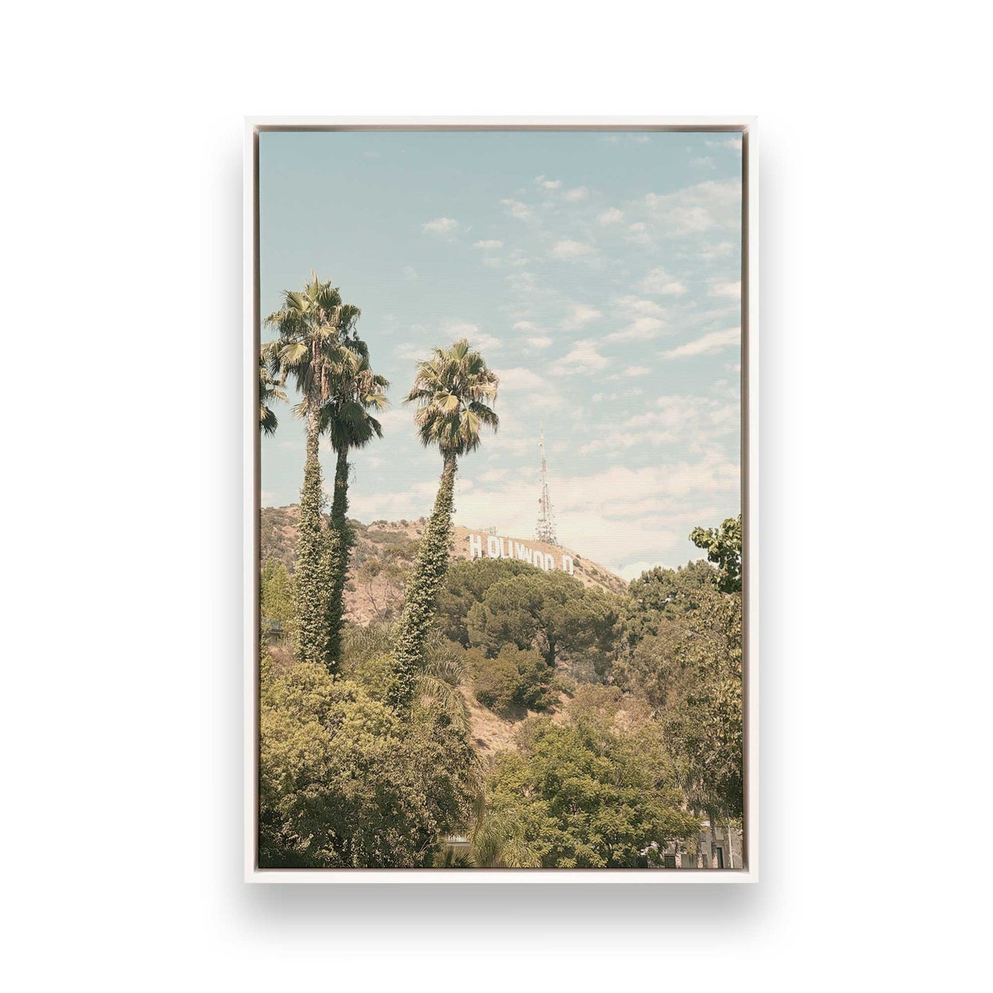 [Color:Opaque White], Picture of art in a White frame