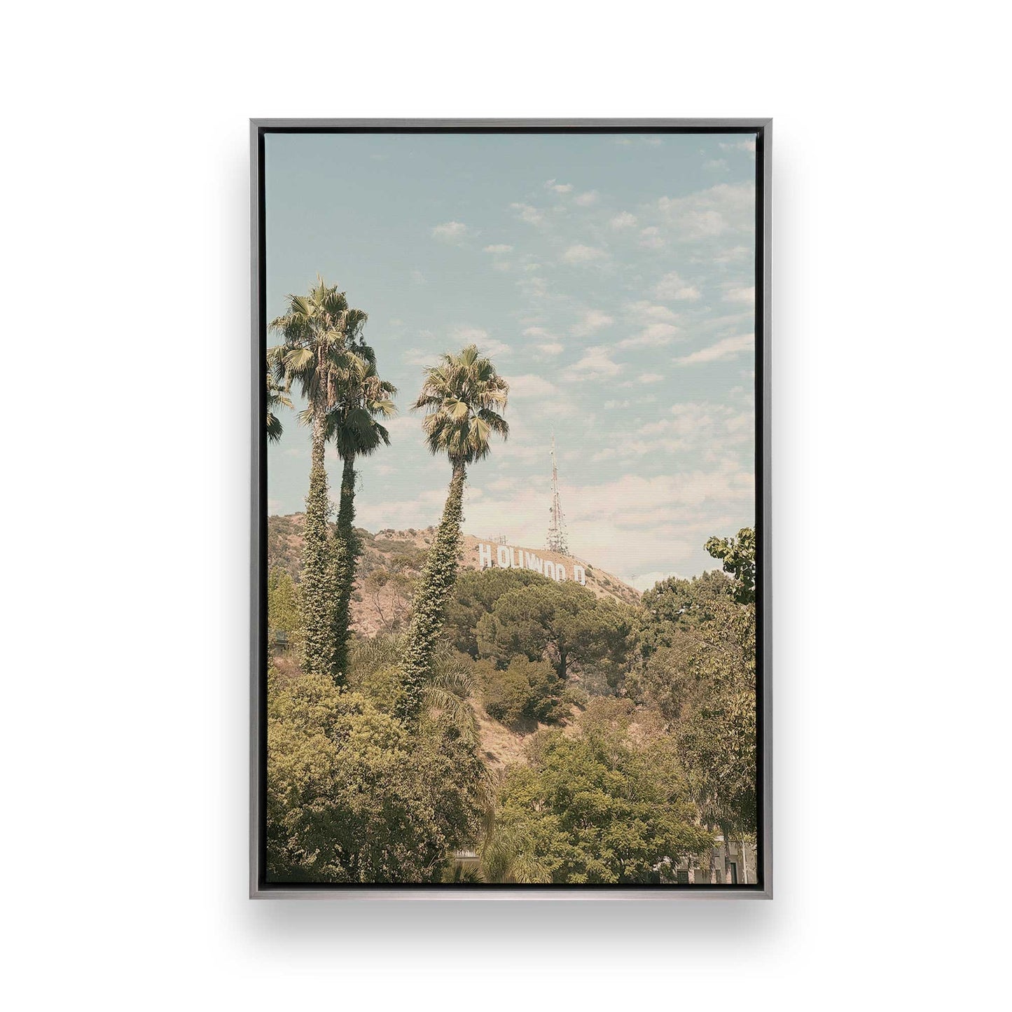 [Color:Polished Chrome], Picture of art in a Polished Chrome frame