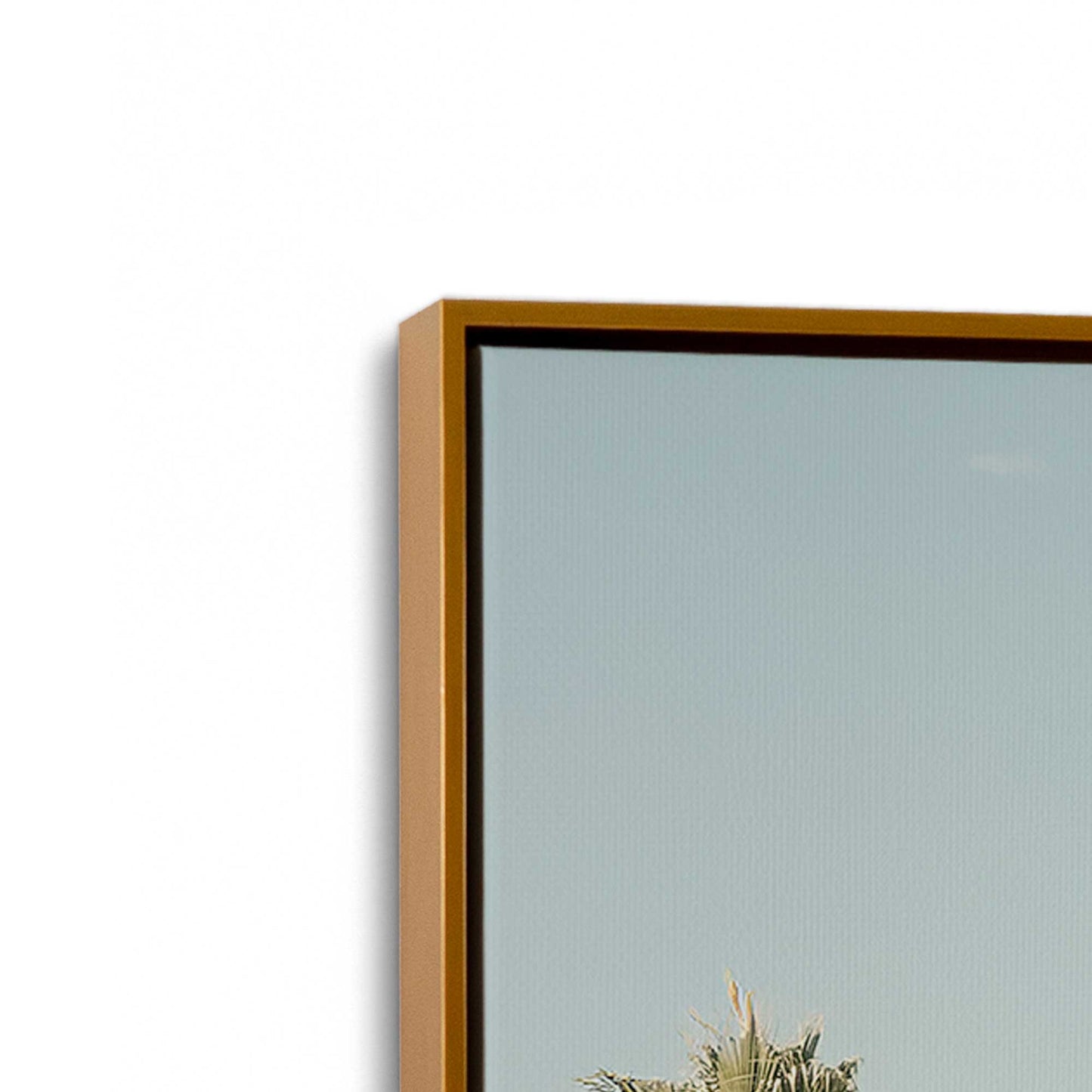 [Color:Polished Gold], Picture of art in a Polished Gold frame at an angle