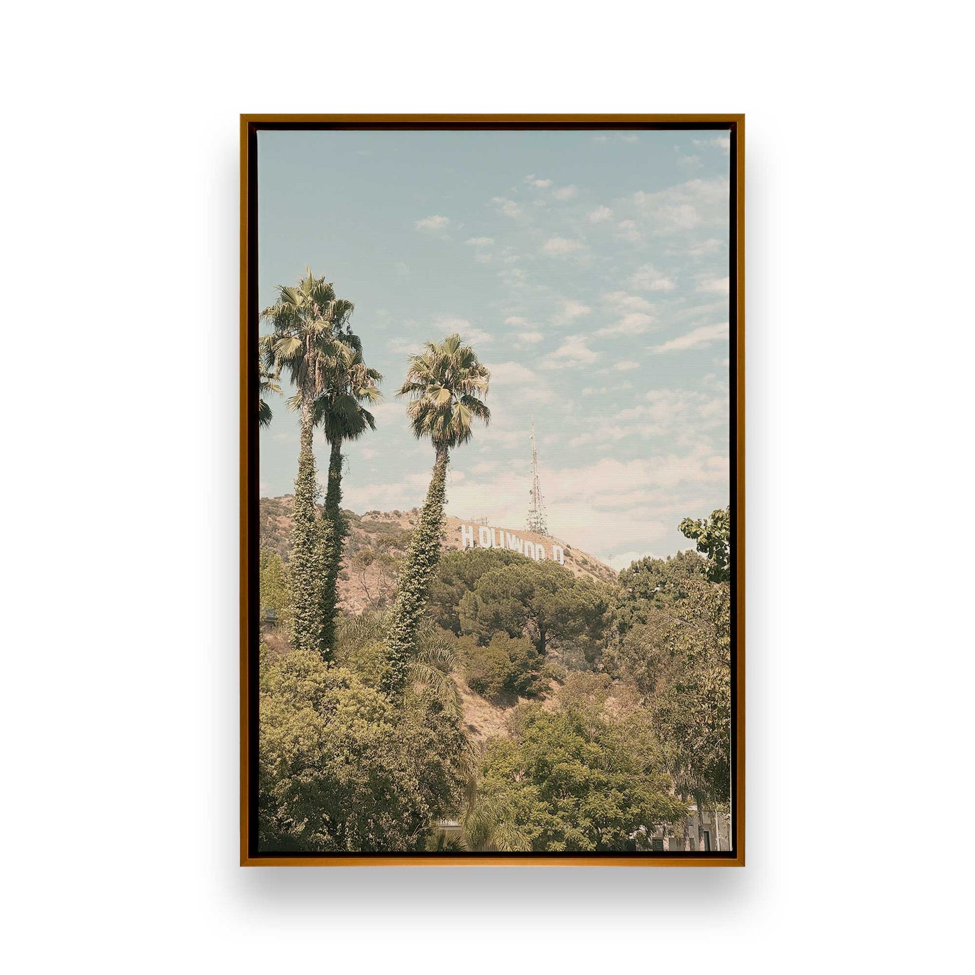 [Color:Polished Gold], Picture of art in a Polished Gold frame