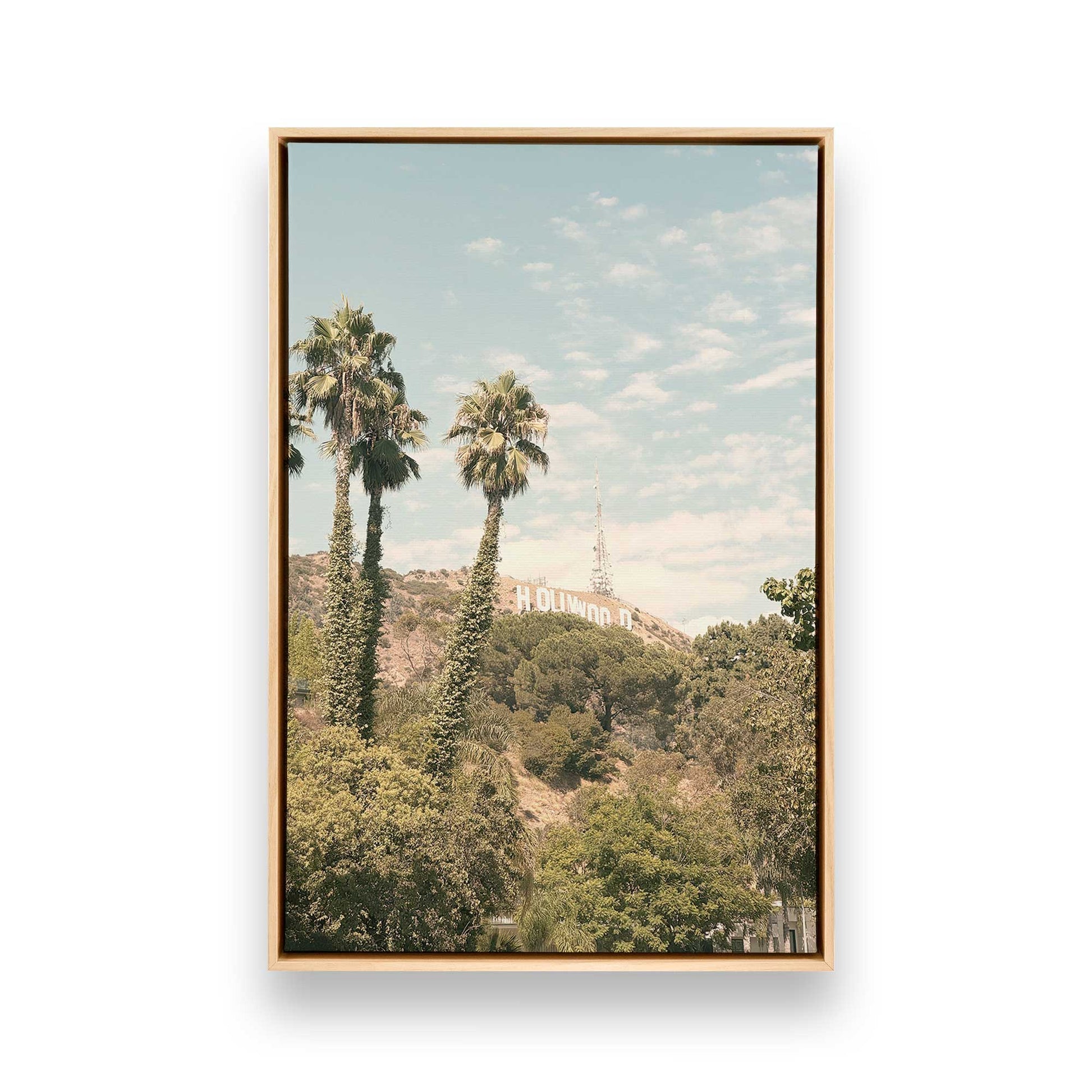 [Color:American Maple], Picture of art in a American Maple frame