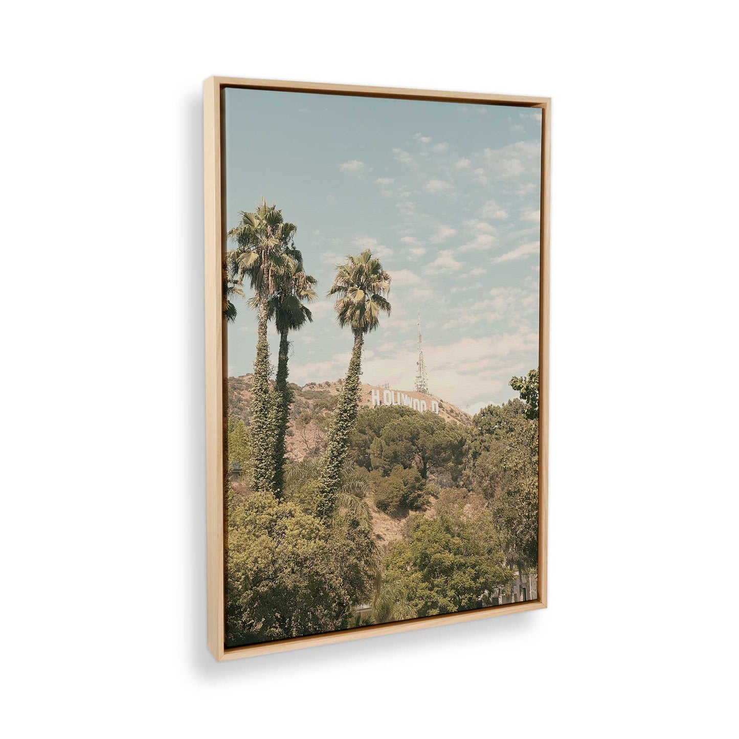 [Color:American Maple], Picture of the corner of the art