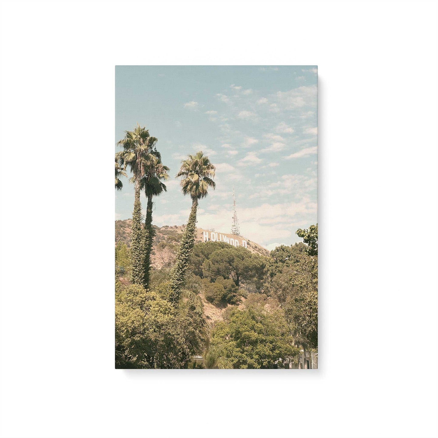 [Color:Stretched Canvas], Picture of art