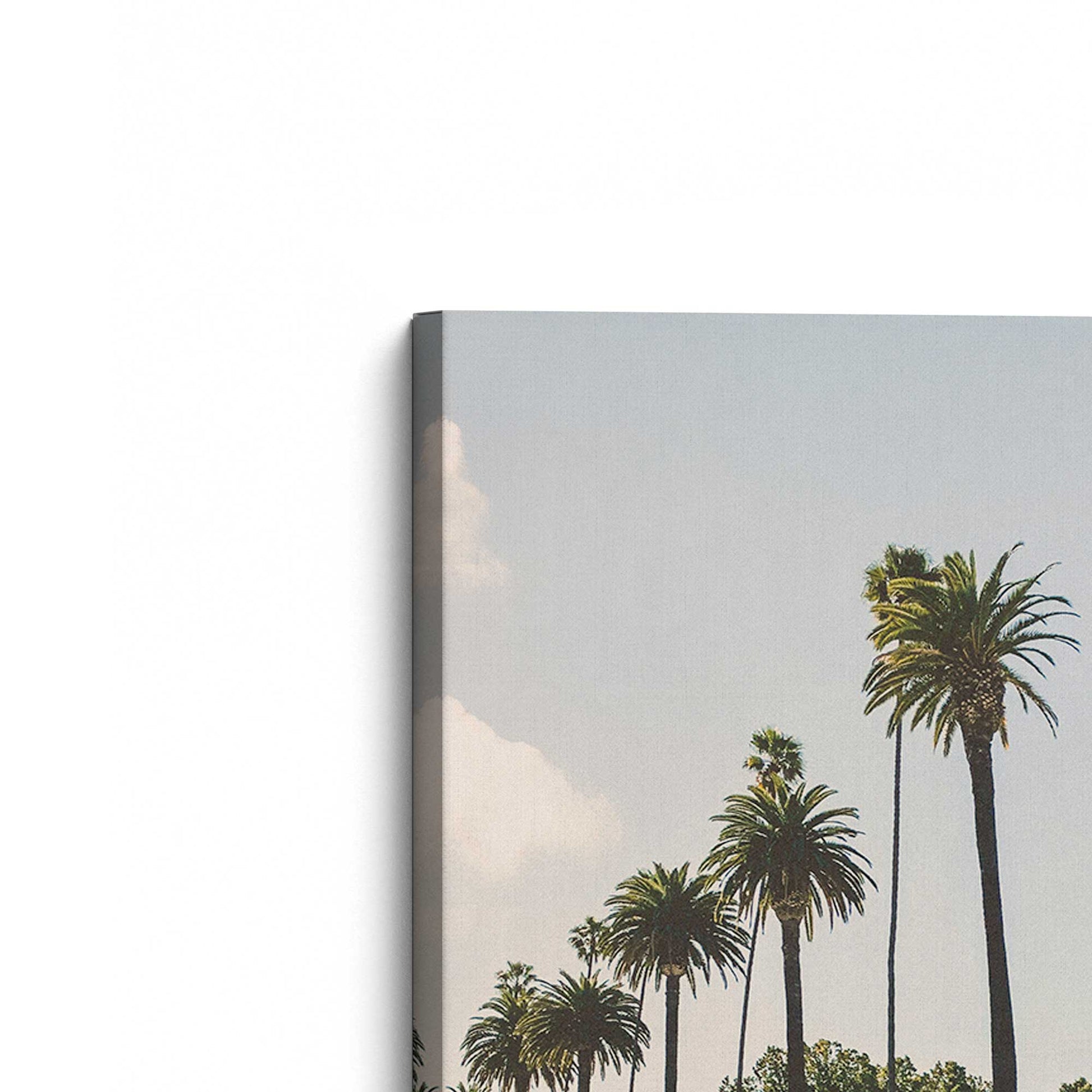 [Color:Stretched Canvas], Picture of the corner of the art