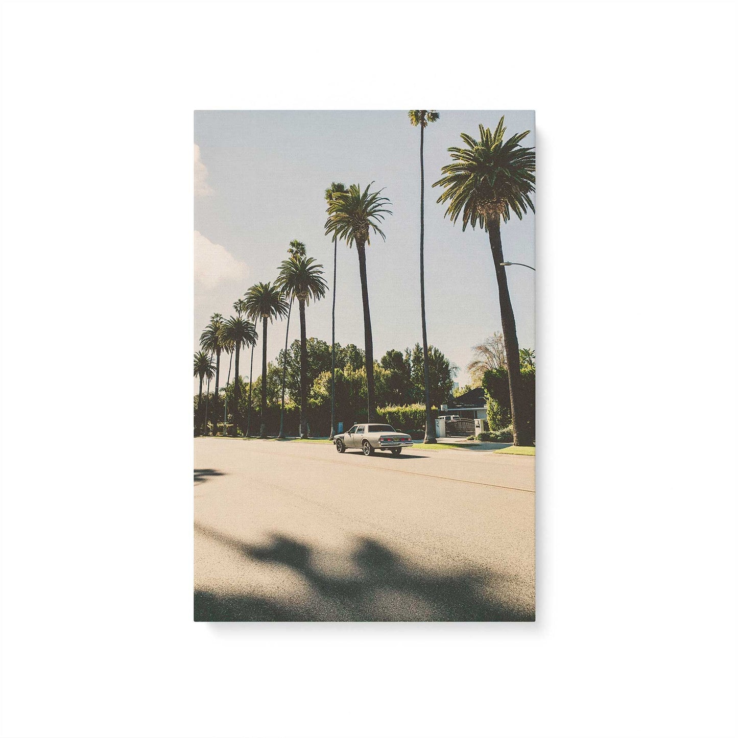 [Color:Stretched Canvas], Picture of art