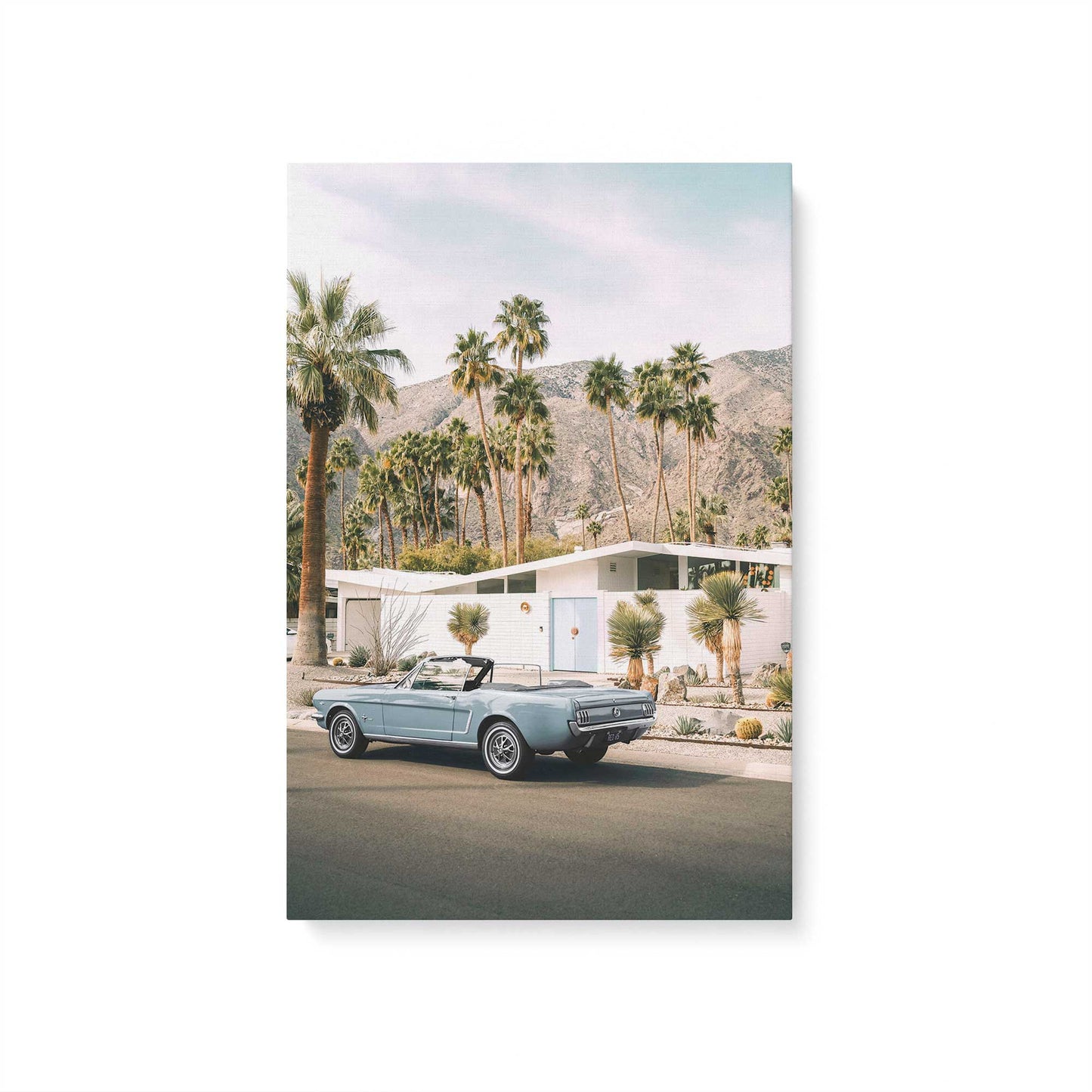 [Color:Stretched Canvas], Picture of art