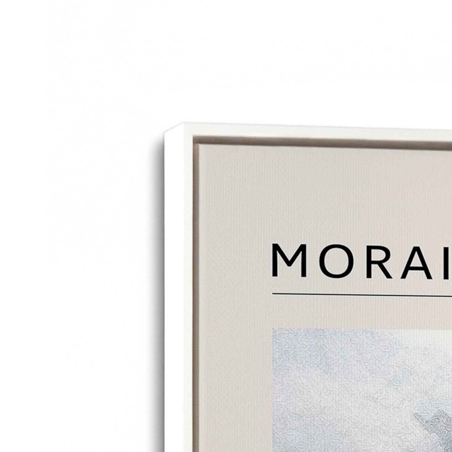[Color:Opaque White], Picture of art in a White frame at an angle