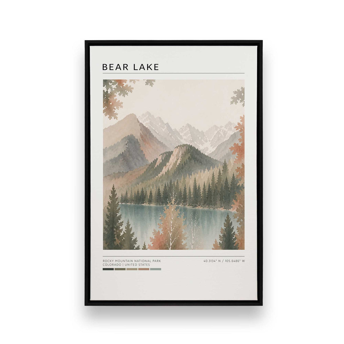 [SPECIAL],[Color:Satin Black],