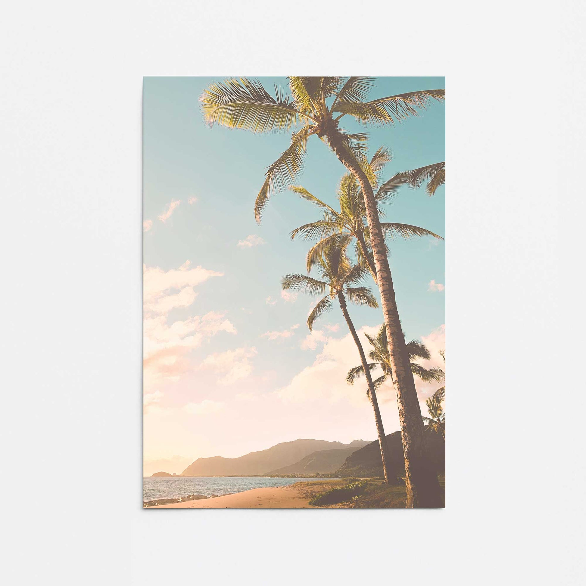 [Color:Rolled Print], Picture of close up of art