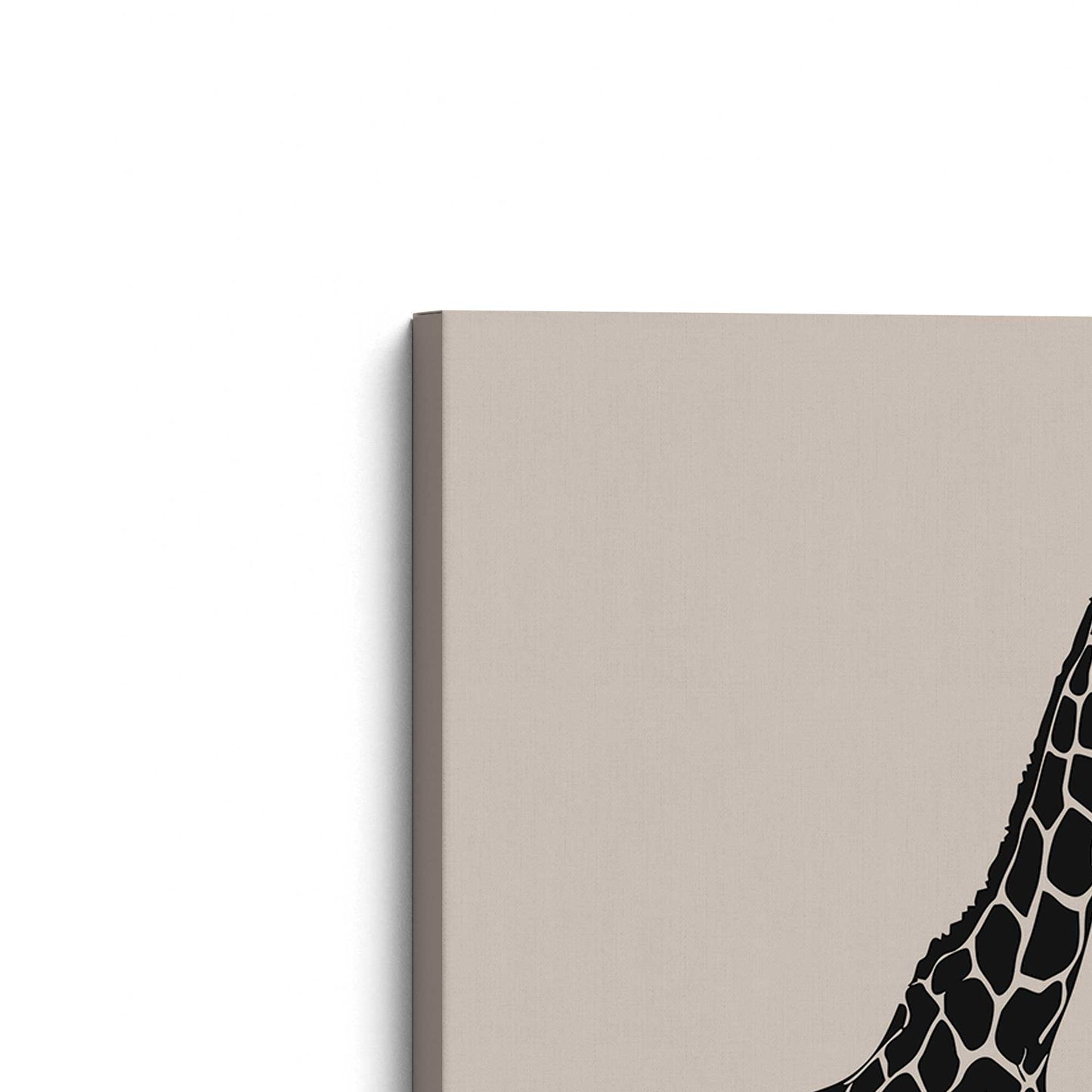 [Color:Stretched Canvas], Picture of the corner of the art