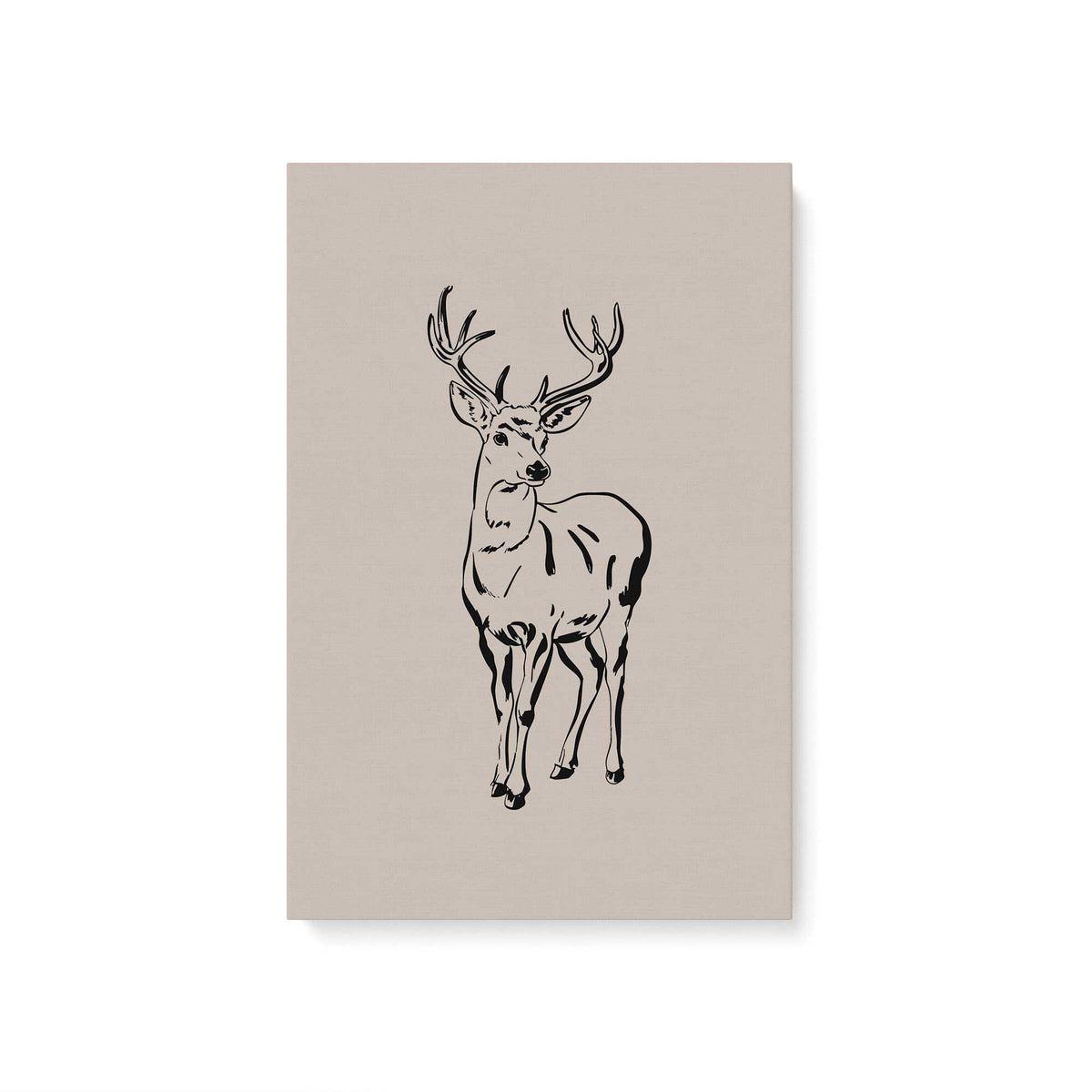 [Color:Stretched Canvas], Picture of art