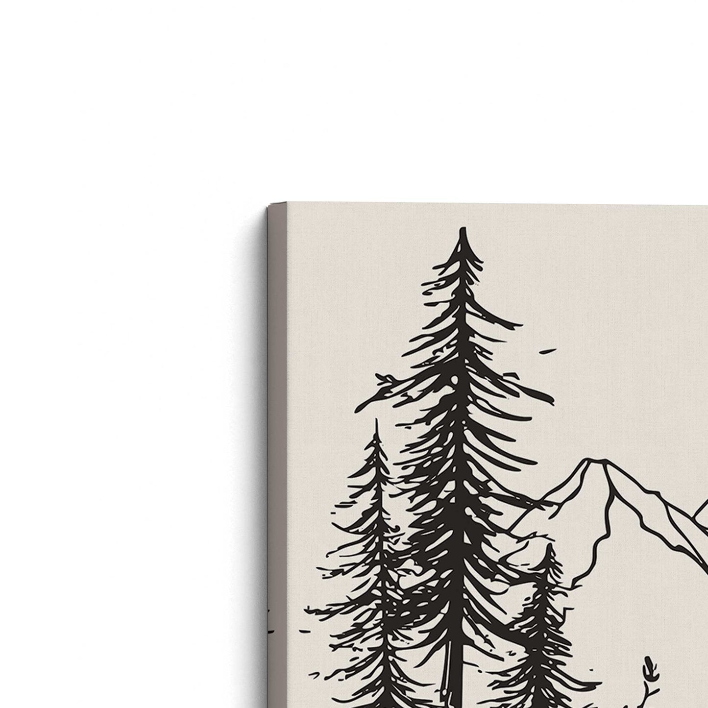 [Color:Stretched Canvas], Picture of the corner of the art