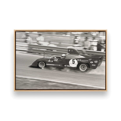 [Color:American Maple], Picture of art in a American Maple frame