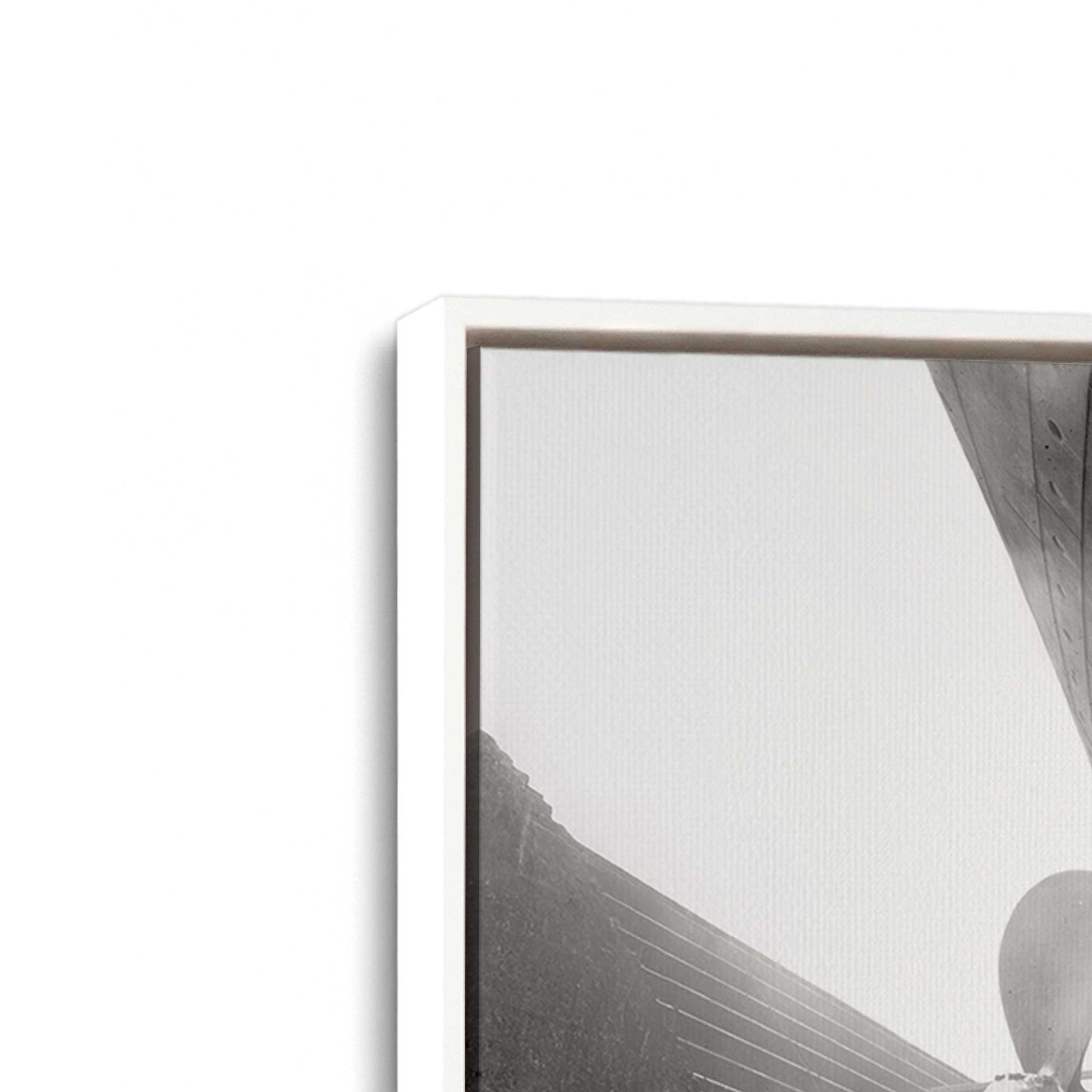 [Color:Opaque White], Picture of art in a White frame at an angle