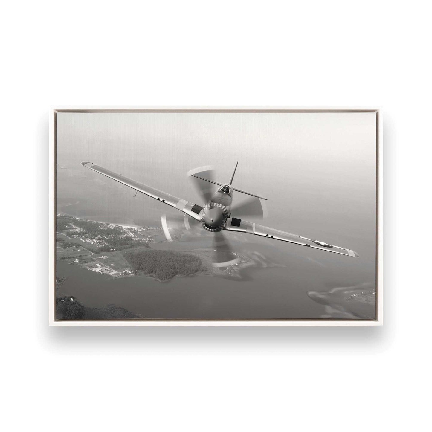 [Color:Opaque White], Picture of art in a White frame