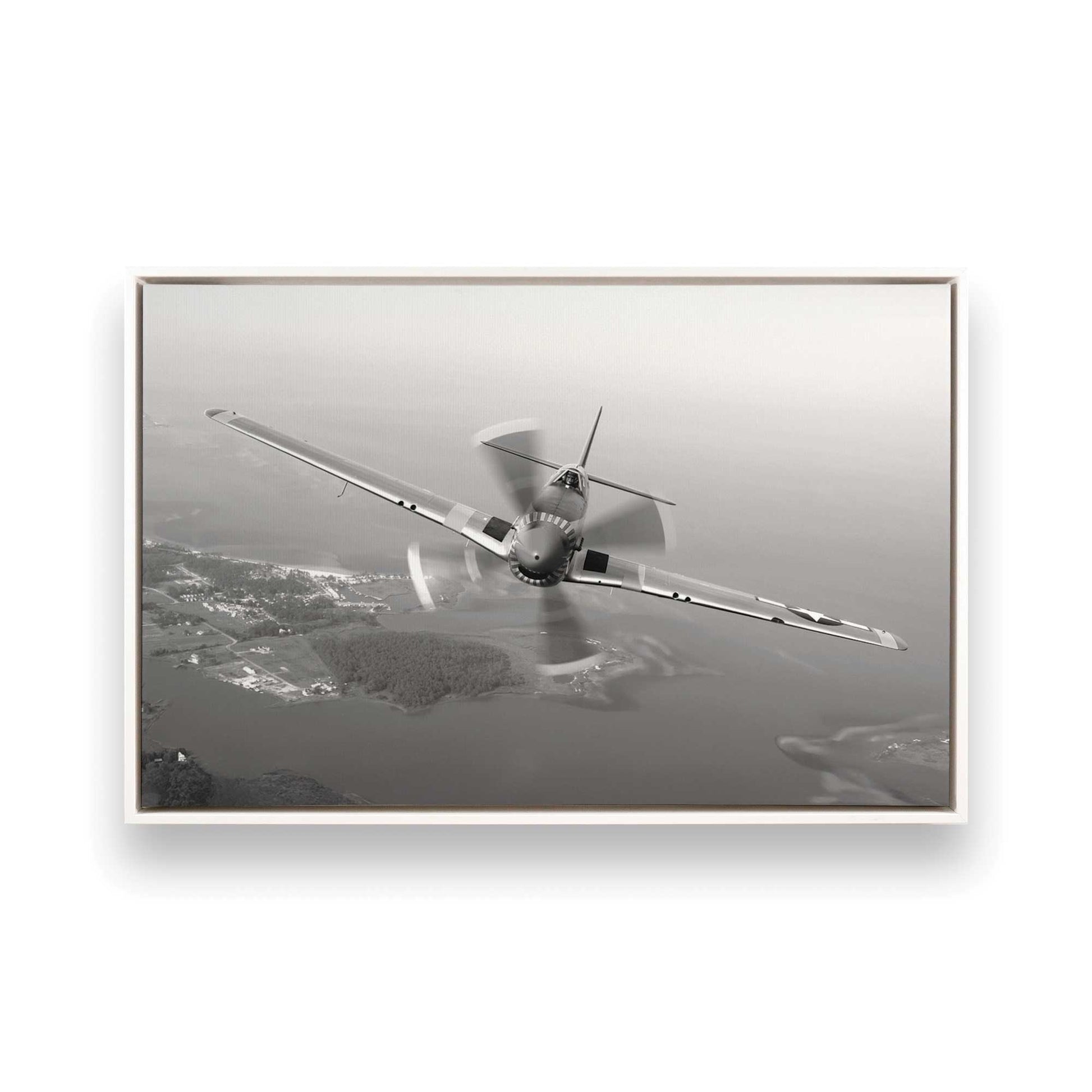 [Color:Opaque White], Picture of art in a White frame
