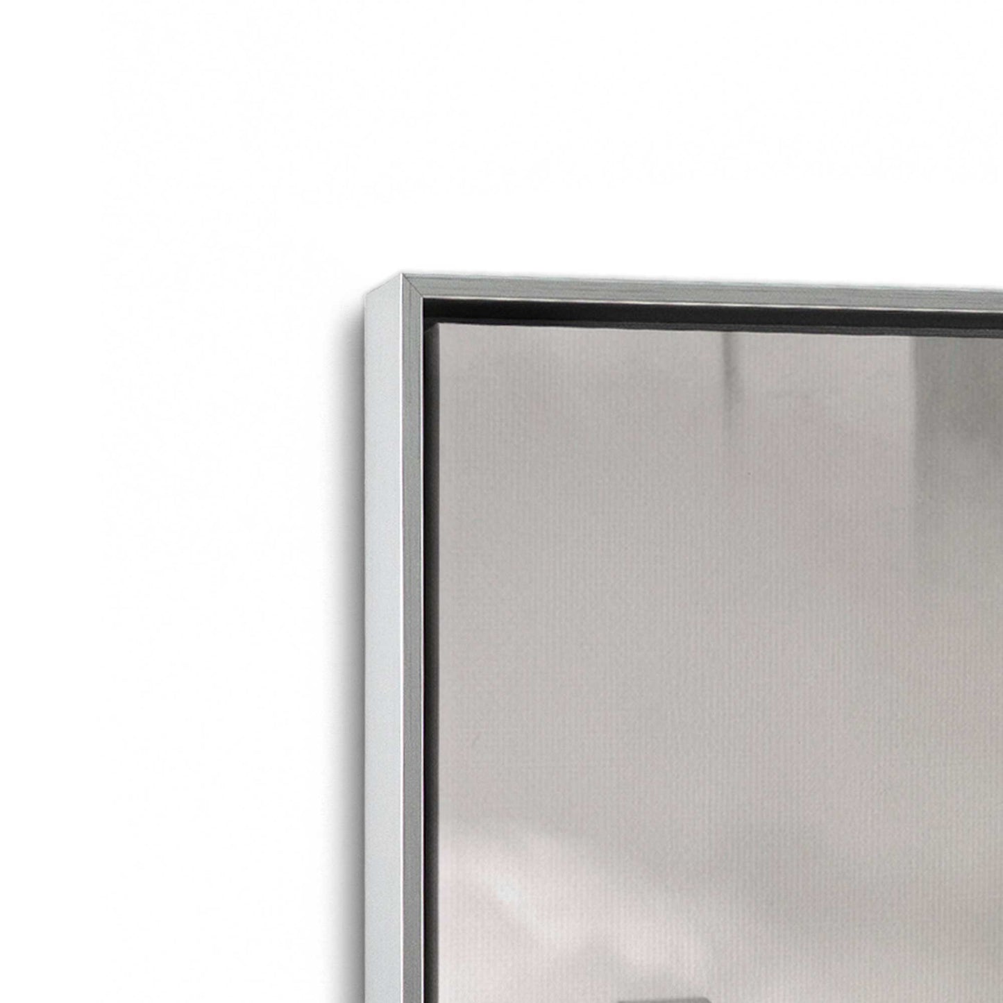 [Color:Polished Chrome], Picture of art in a Polished Chrome frame at an angle