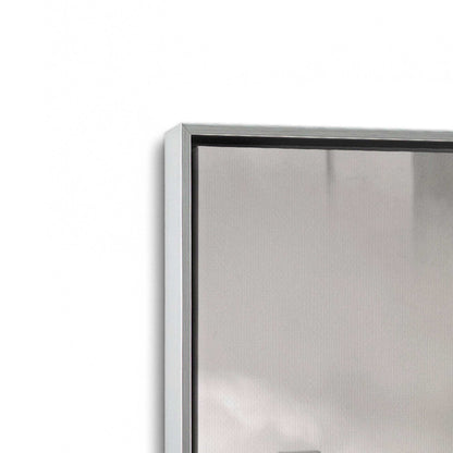 [Color:Polished Chrome], Picture of art in a Polished Chrome frame at an angle