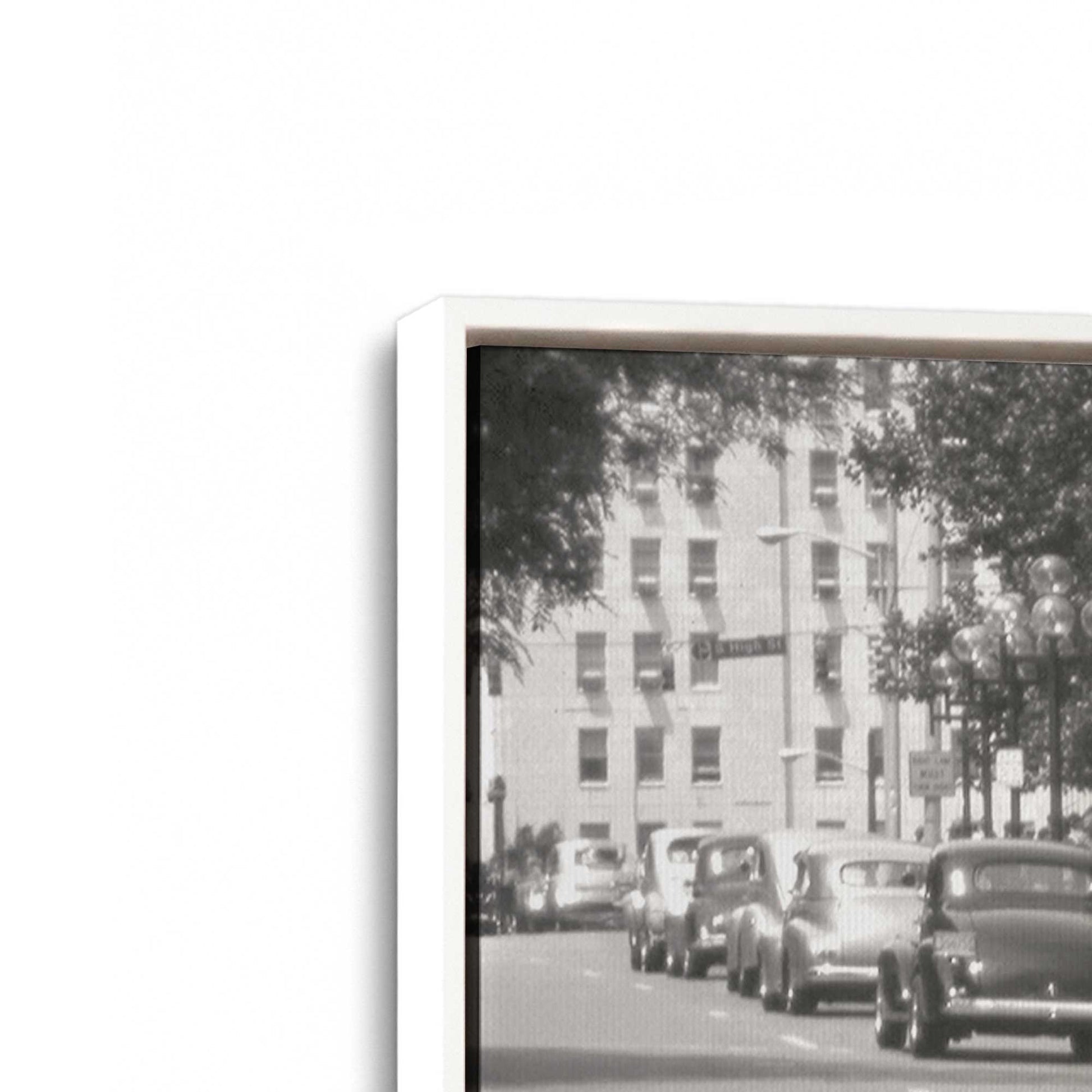 [Color:Opaque White], Picture of art in a White frame at an angle