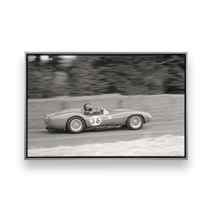 [Color:Polished Chrome], Picture of art in a Polished Chrome frame