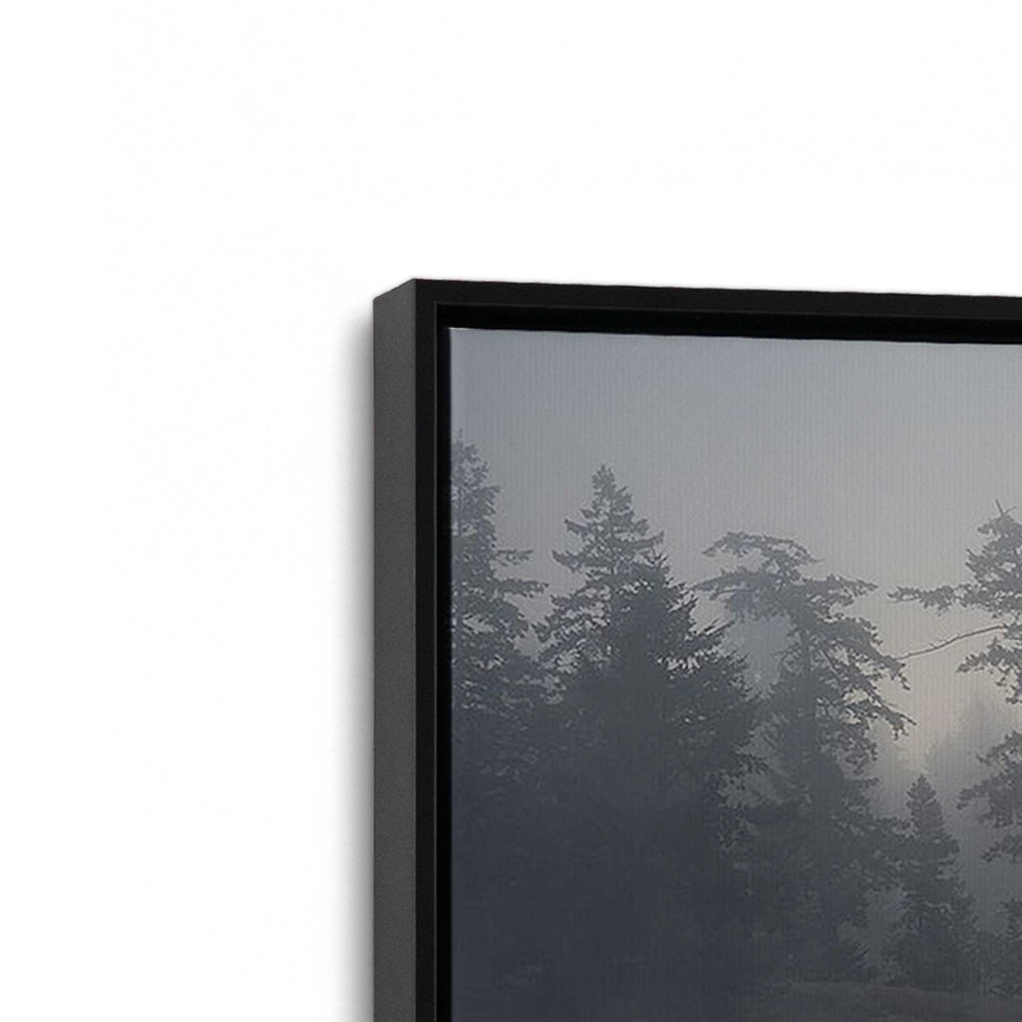 [Color:Satin Black], Picture of art in a Satin Black frame at an angle