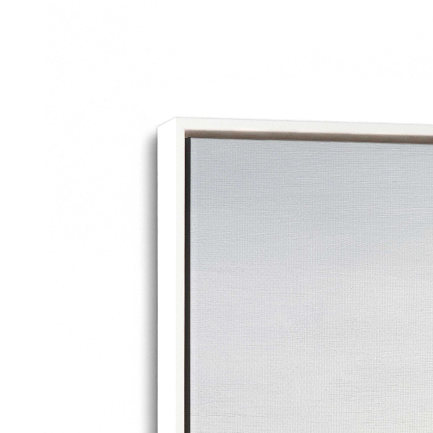 [Color:Opaque White], Picture of art in a White frame at an angle