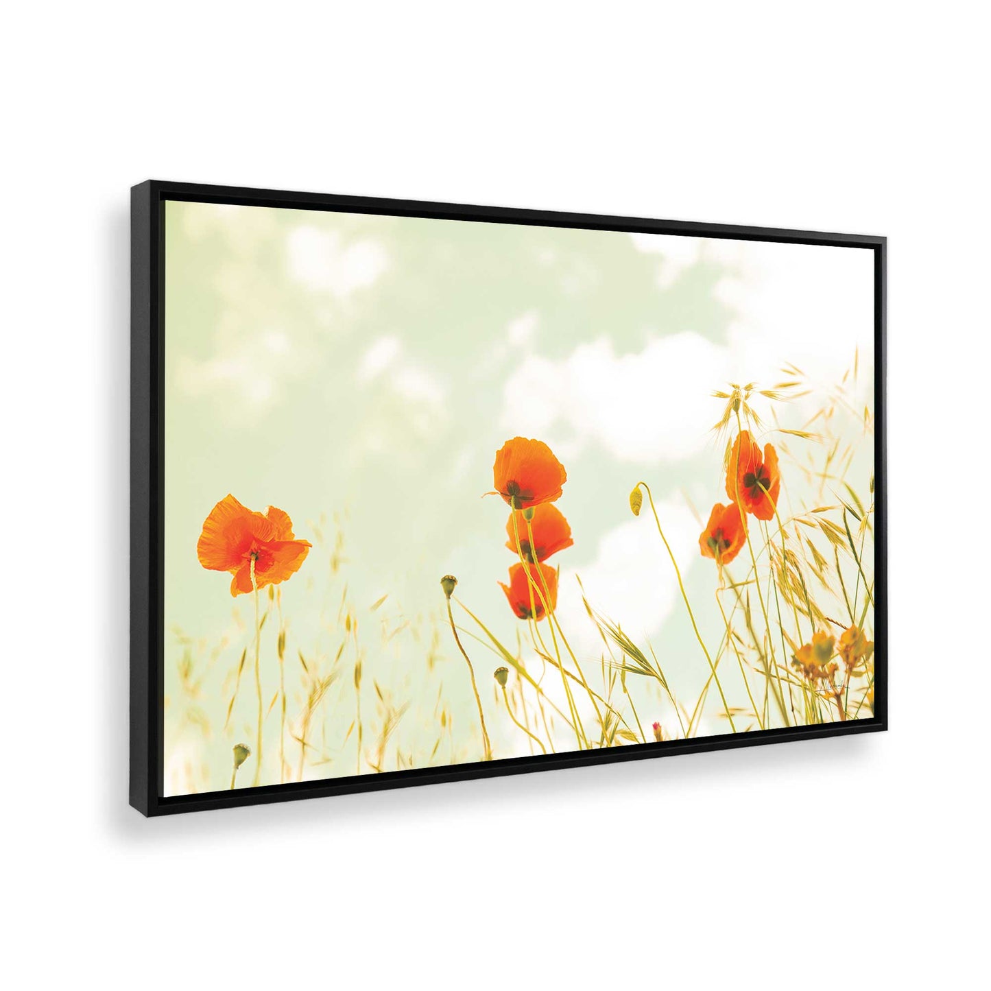 [Color:Satin Black], Picture of art in a Satin Black frame at an angle