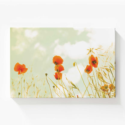 [Color:Stretched Canvas], Picture of art