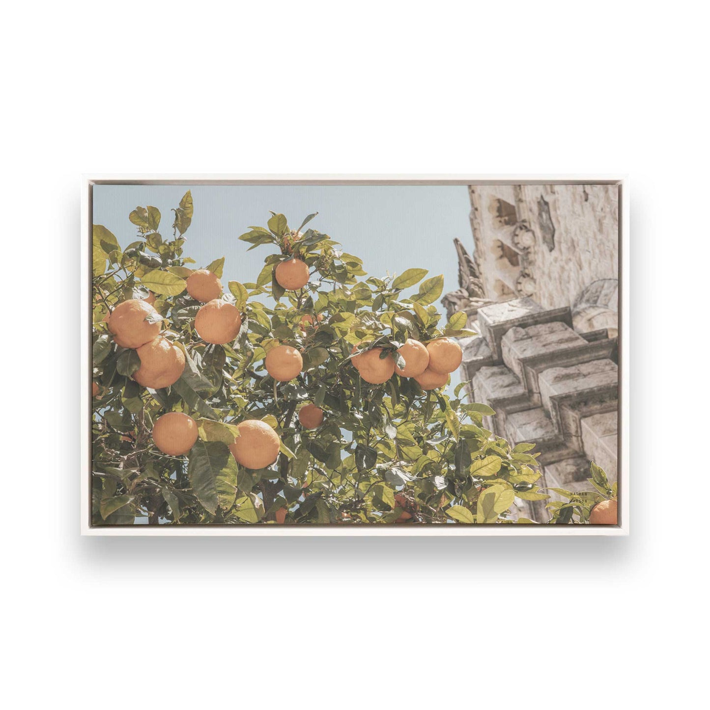 [Color:Opaque White] Picture of art in a White frame