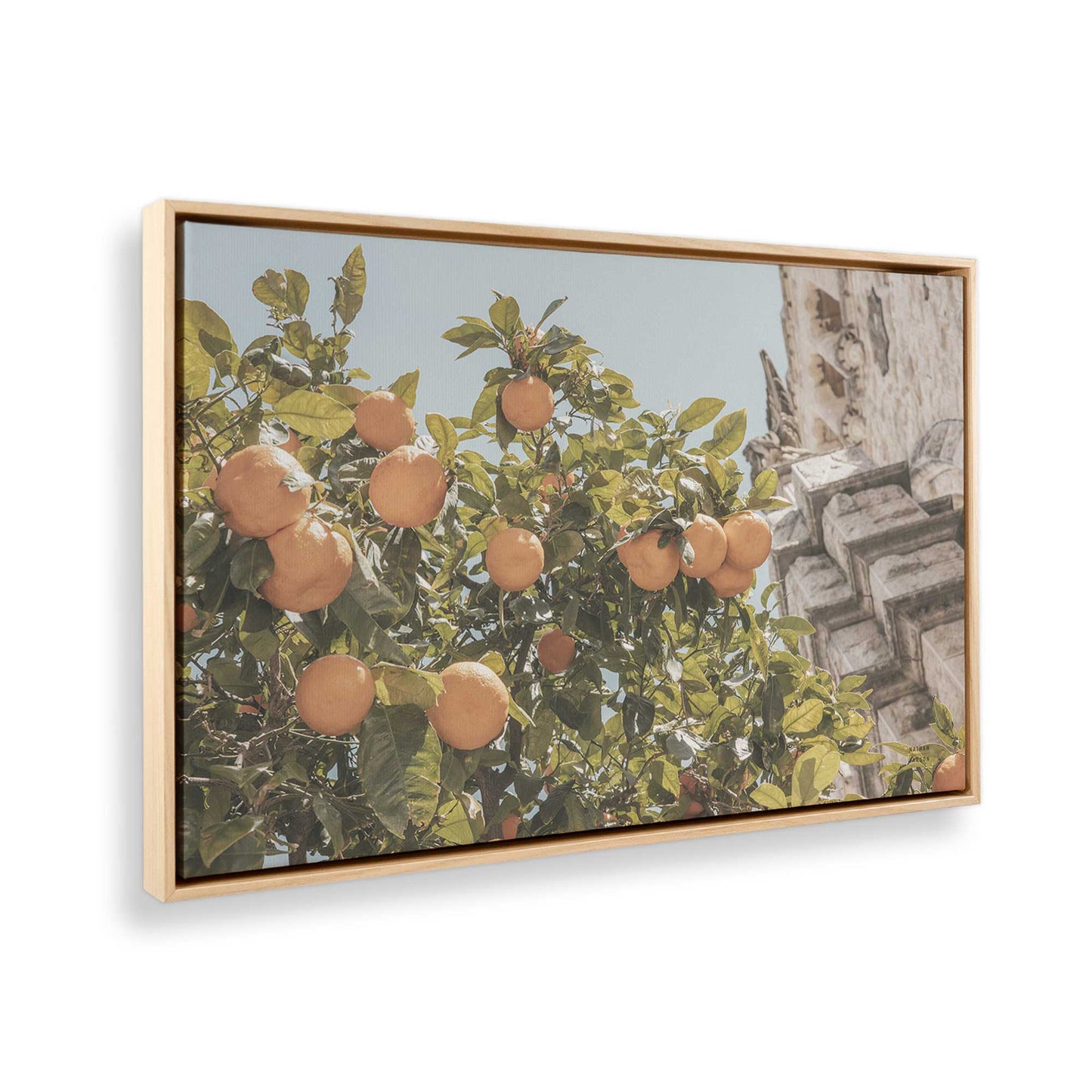 [Color:American Maple] Picture of art in a American Maple frame at an angle