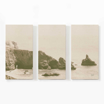 [Color:Stretched Canvas], Picture of art