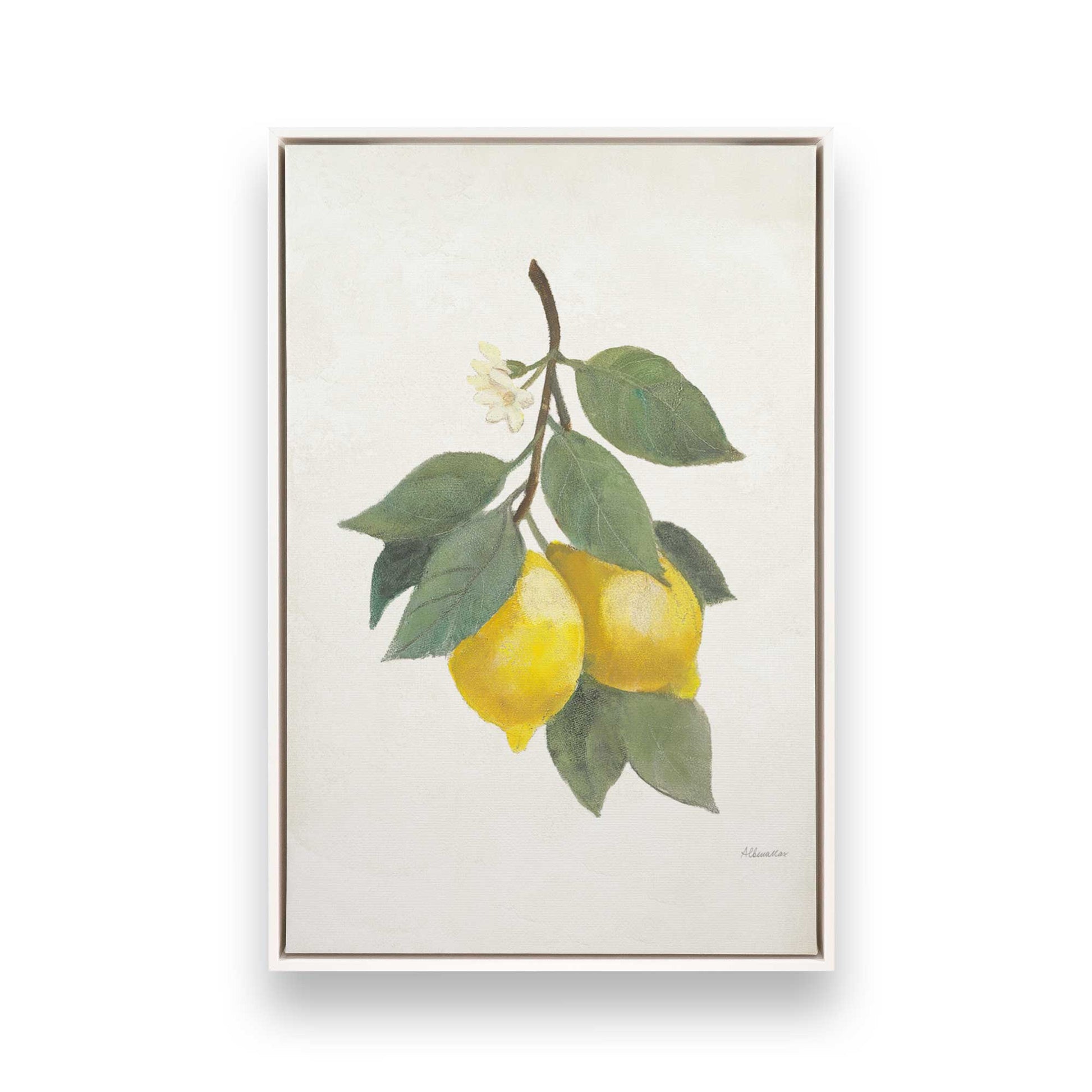 [Color:Opaque White], Picture of art in a White frame