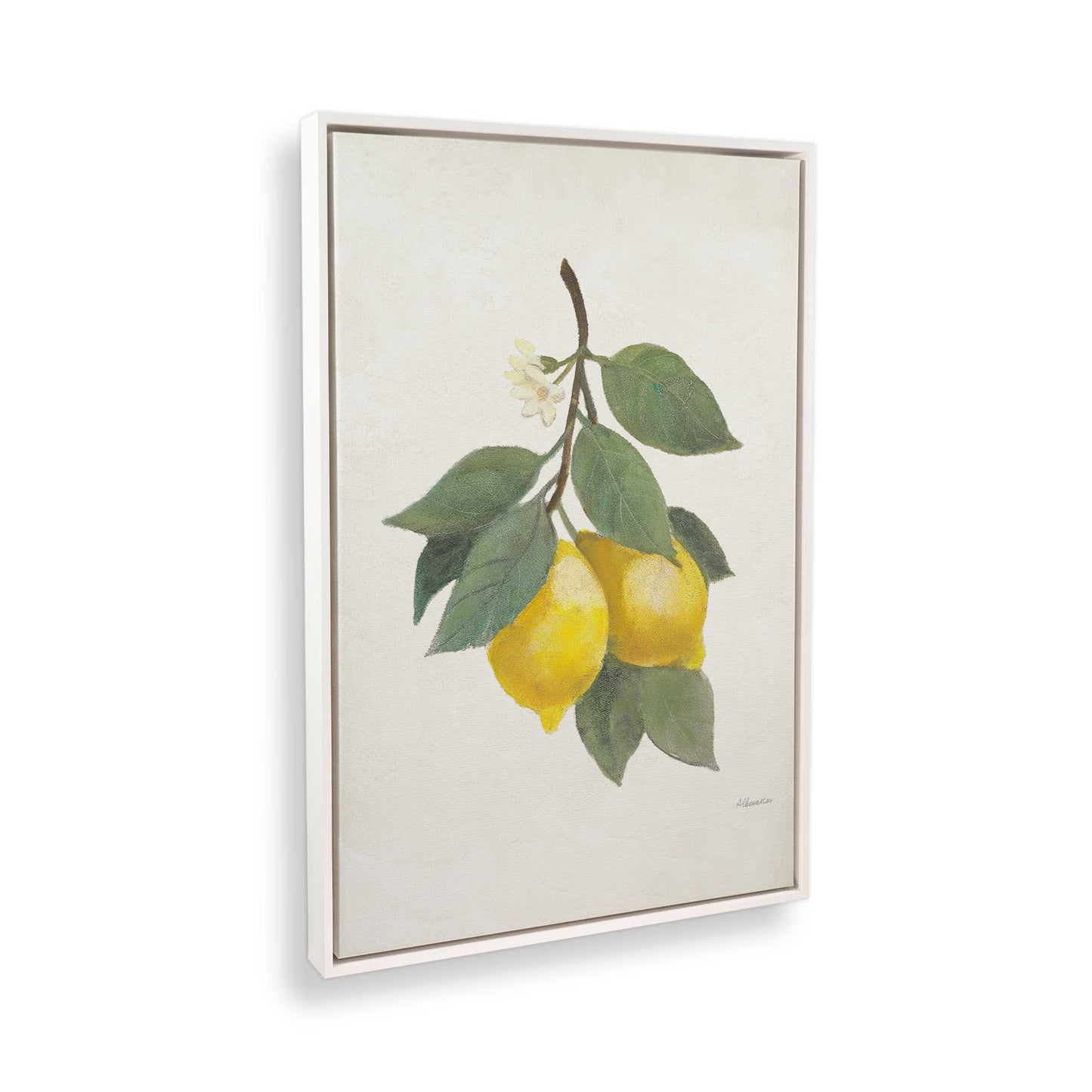 [Color:Opaque White], Picture of art in a White frame at an angle