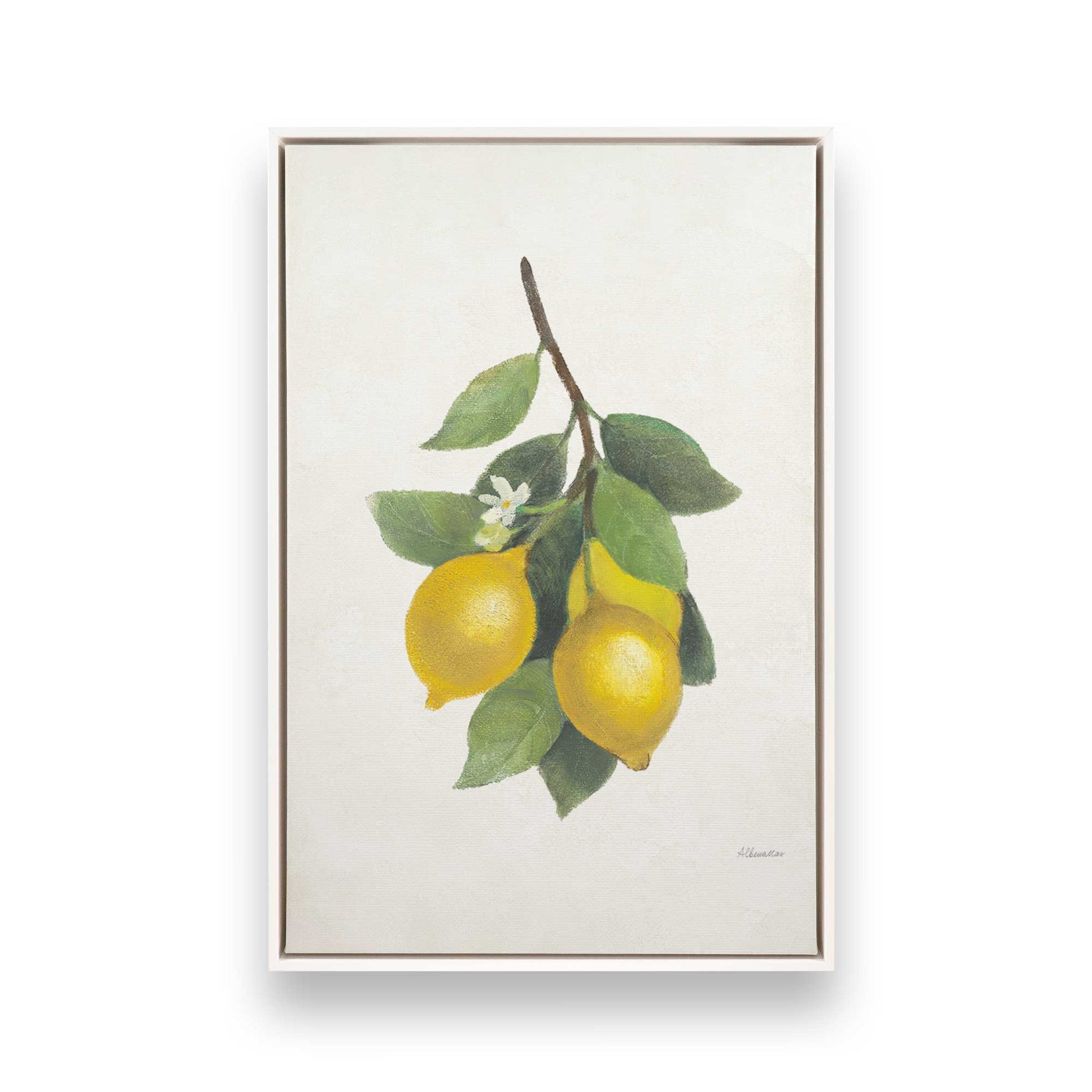 [Color:Opaque White], Picture of art in a White frame