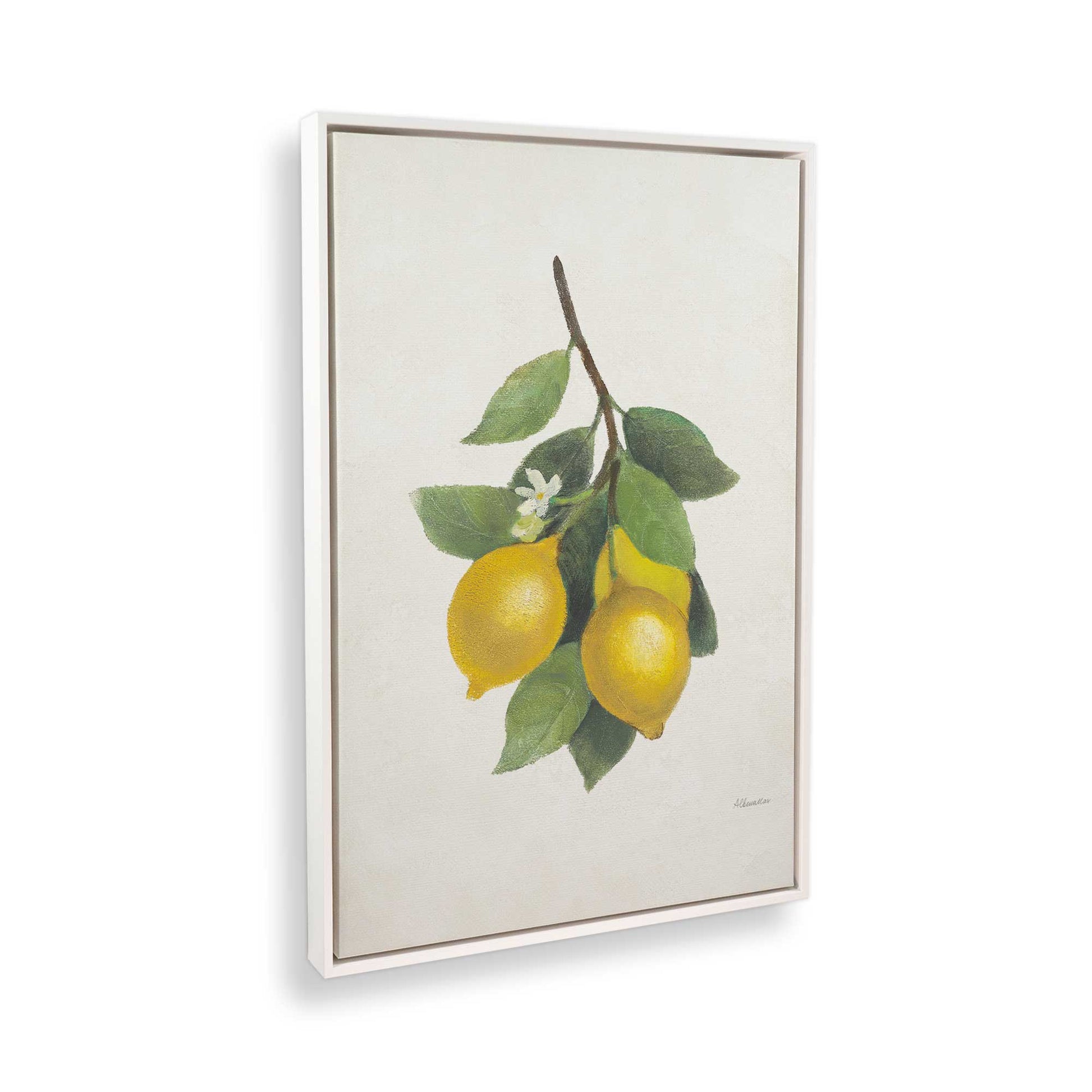 [Color:Opaque White], Picture of art in a White frame at an angle