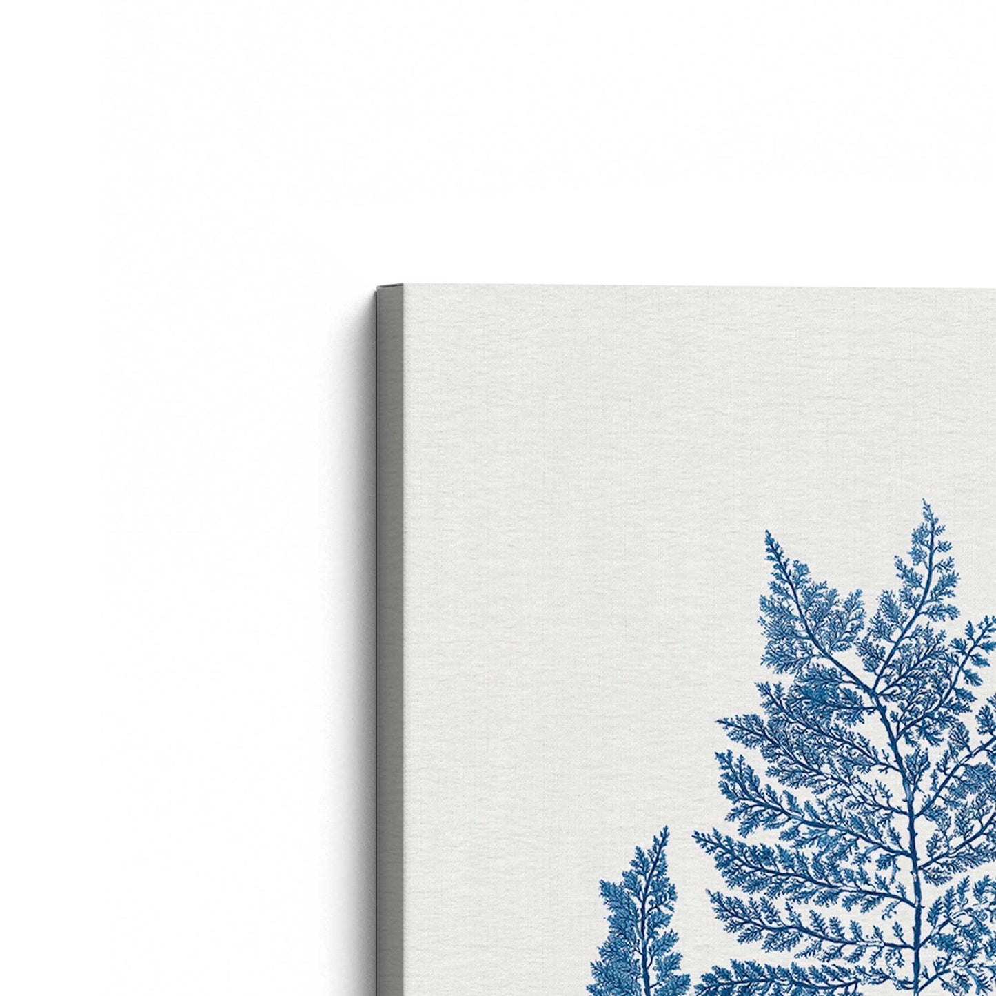 Nature's Blueprints, Set of 2 Print on Canvas