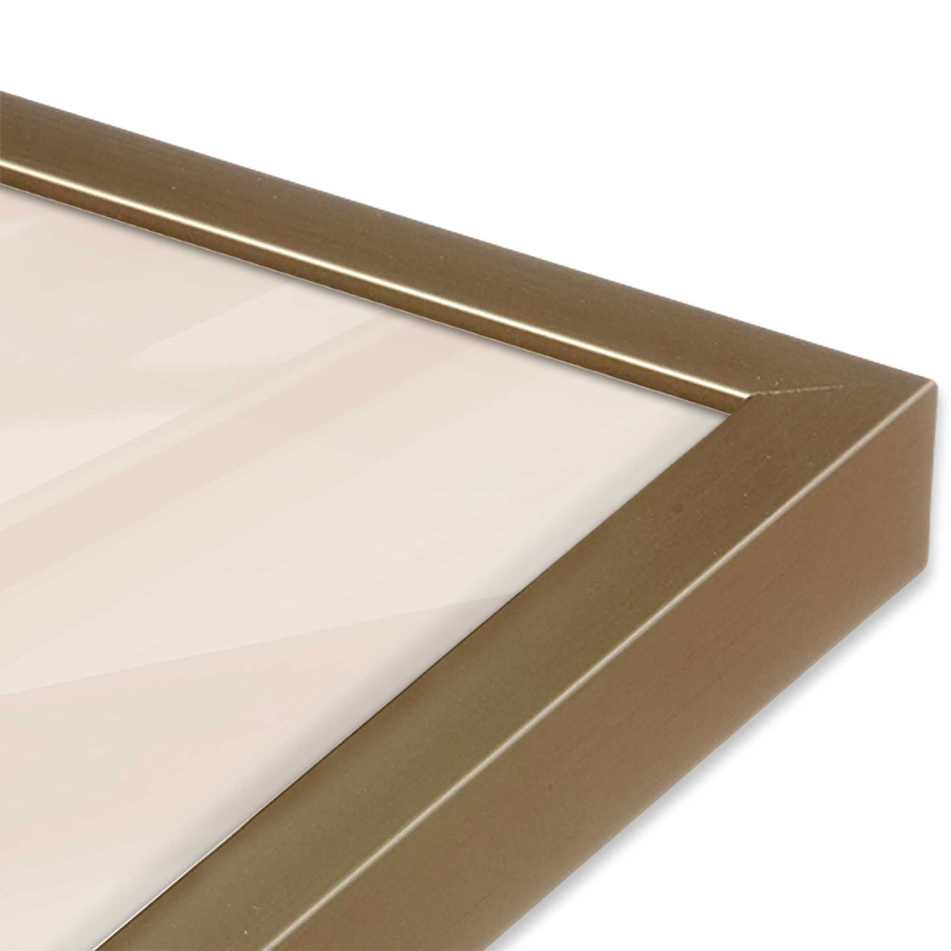[Color:Brushed Gold] Picture of art in a Brushed Gold frame of the corner