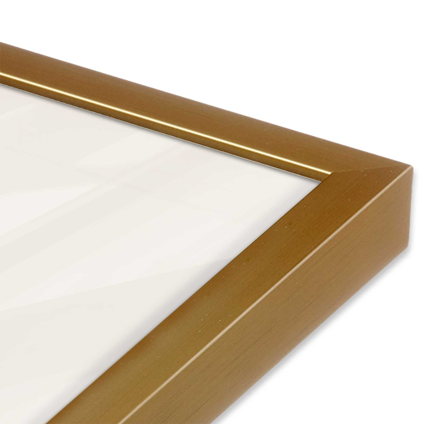 [Color:Polished Gold] Picture of art in a Polished Gold frame of the corner